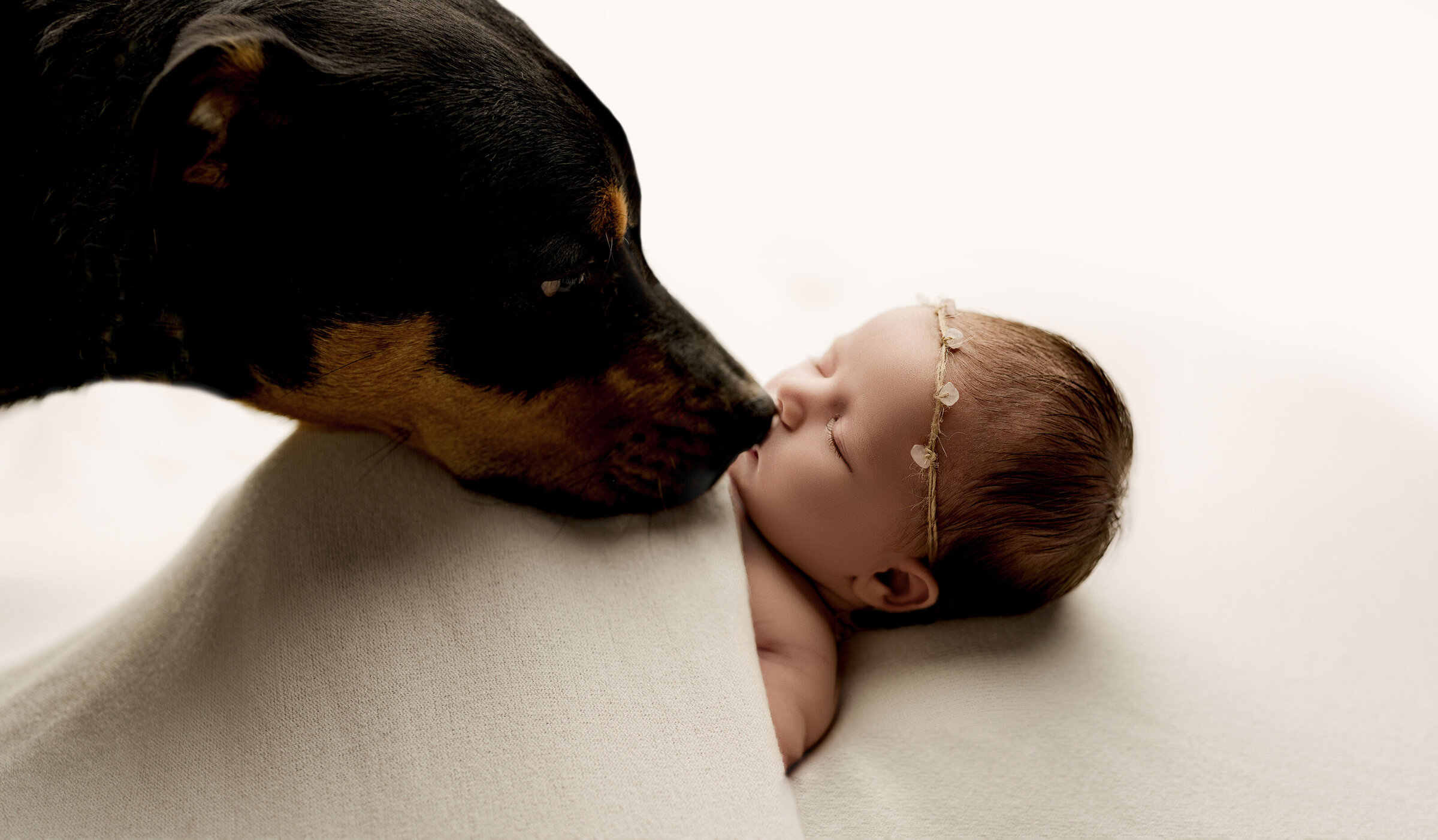 Austin_Newborn_Photographer_JaclynSpeciaPhotography _19