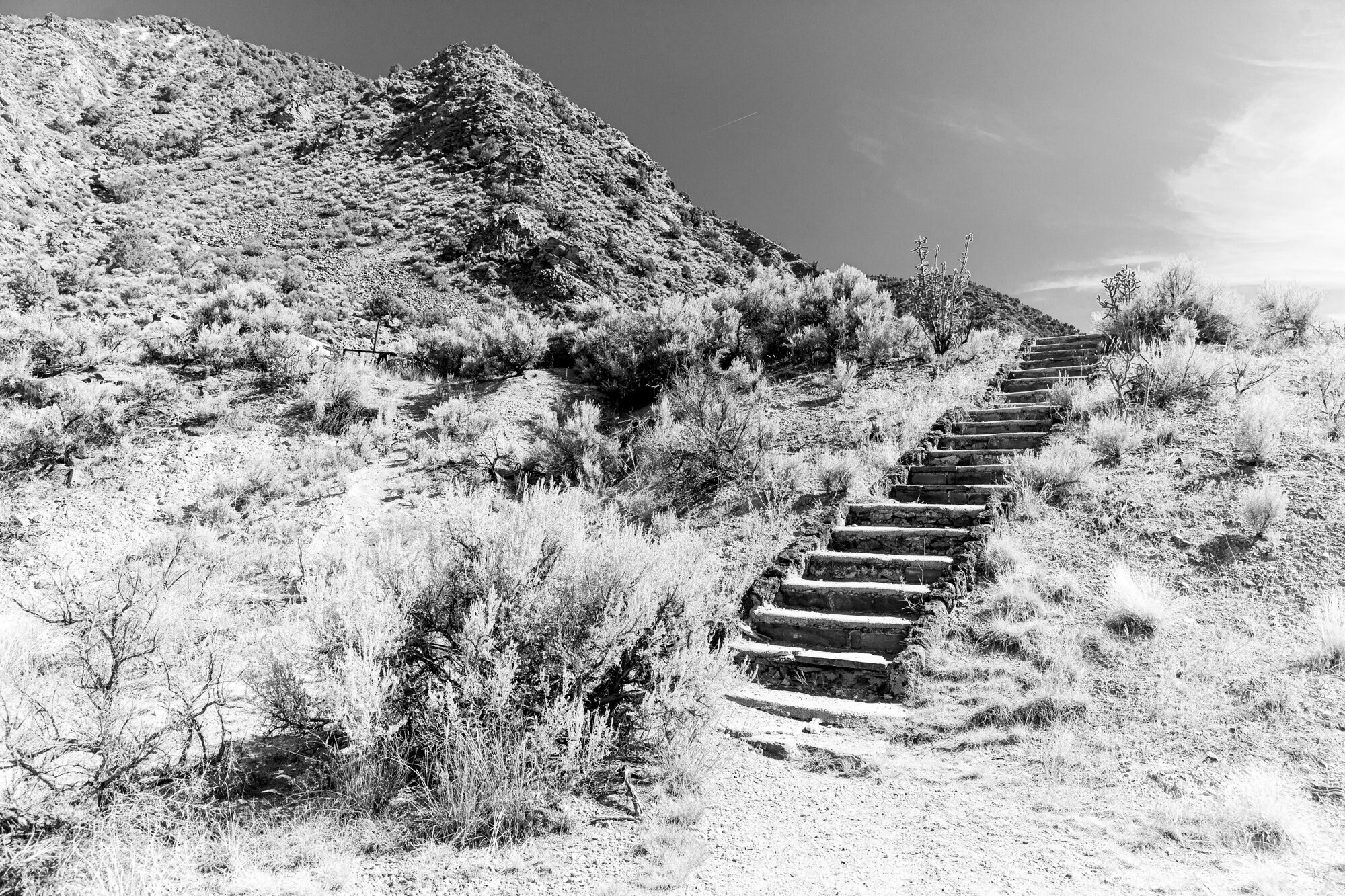 taos-13