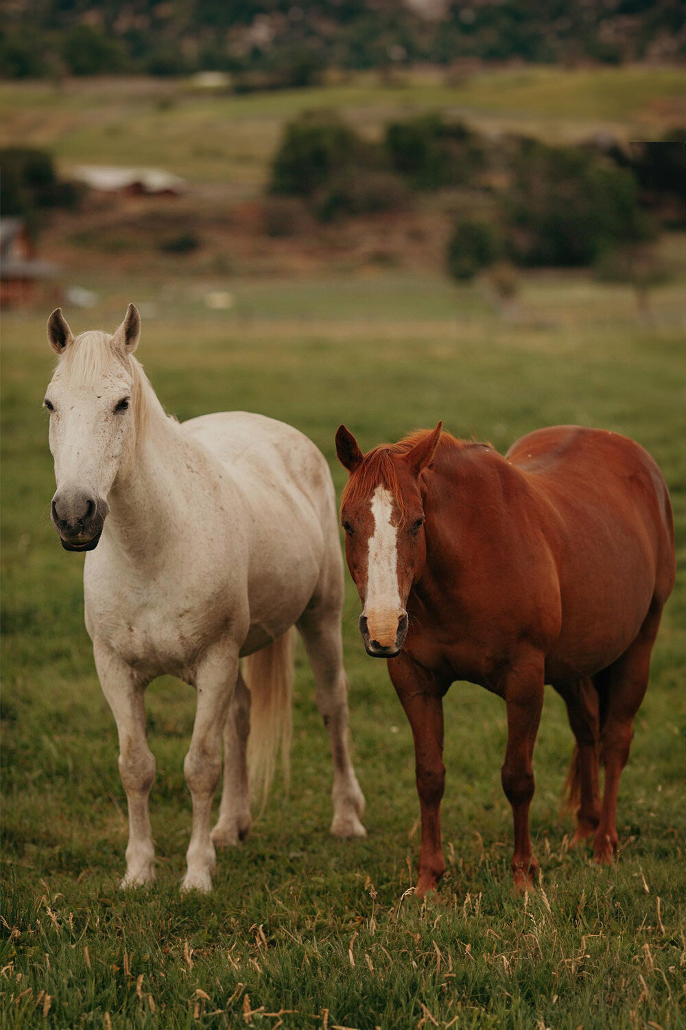 A Western Wedding at the Fulchers Ranch_02