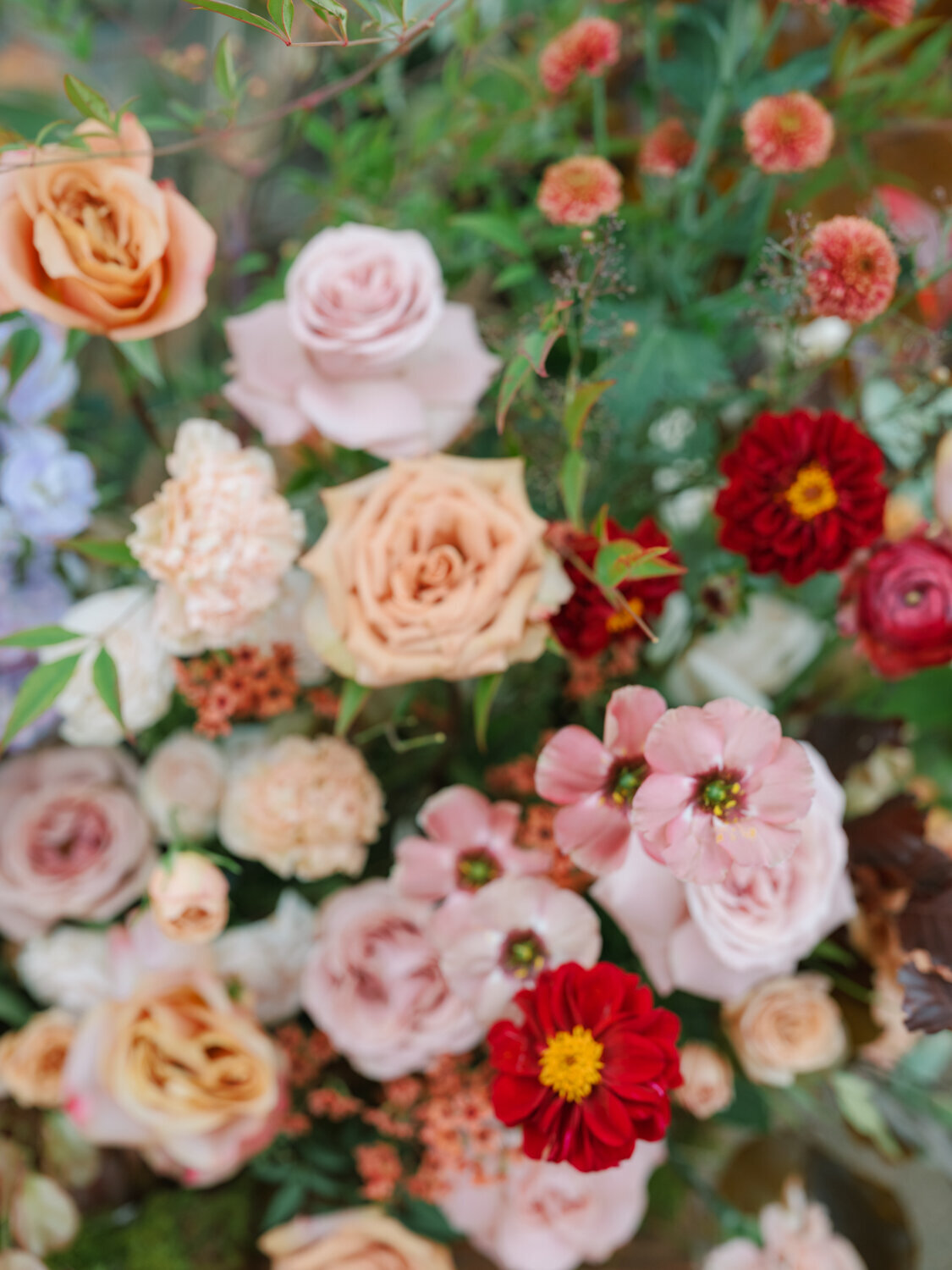 Lana Condor Wedding - Afrik Armando-20