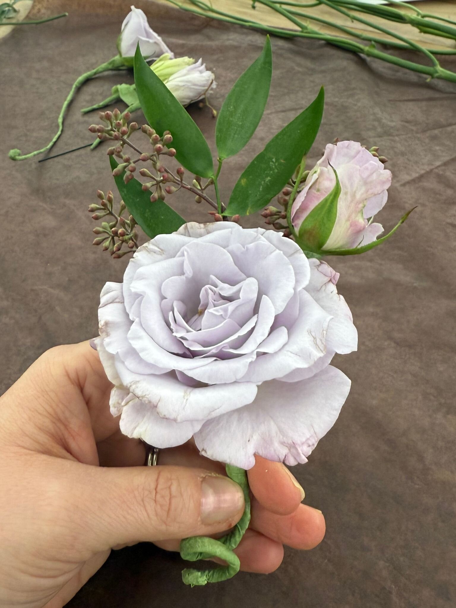 DearLilyBlooms16