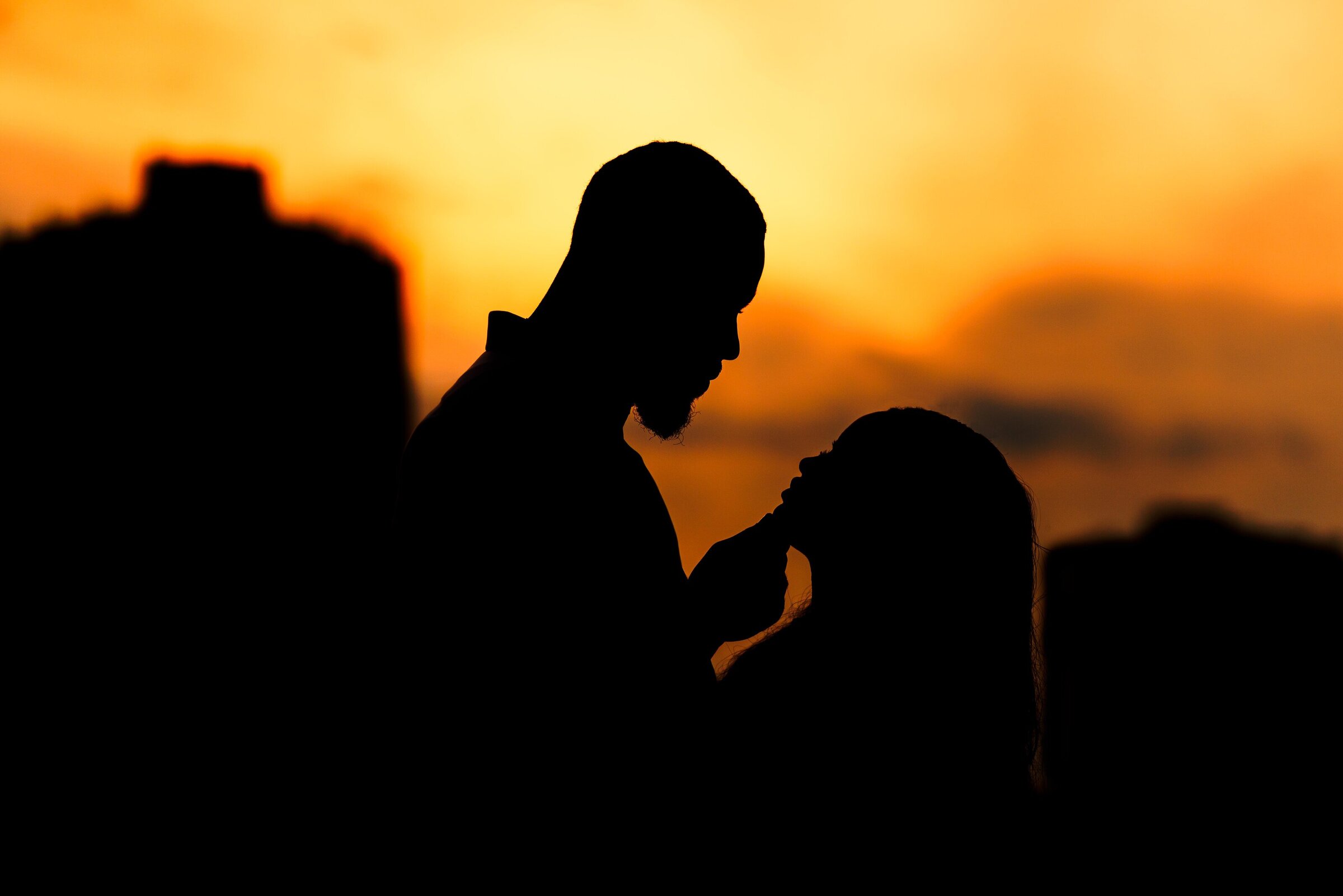 Chicago Engagement Photographer - Phonando Studios - DSC00395