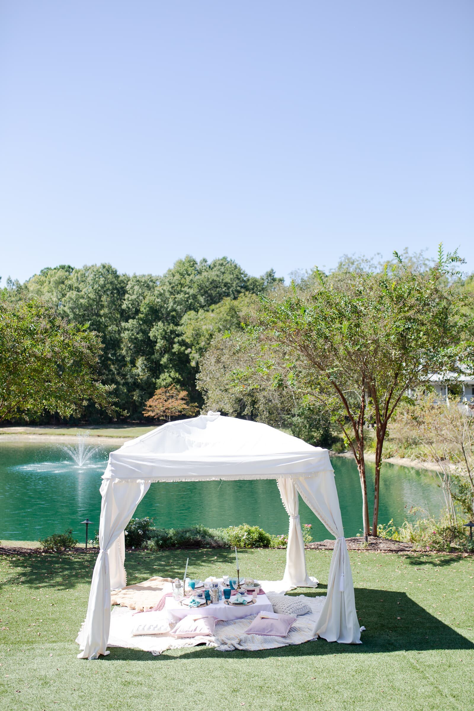 posh picnic setup overlooking a pond at the Walnut hill in Raleigh.