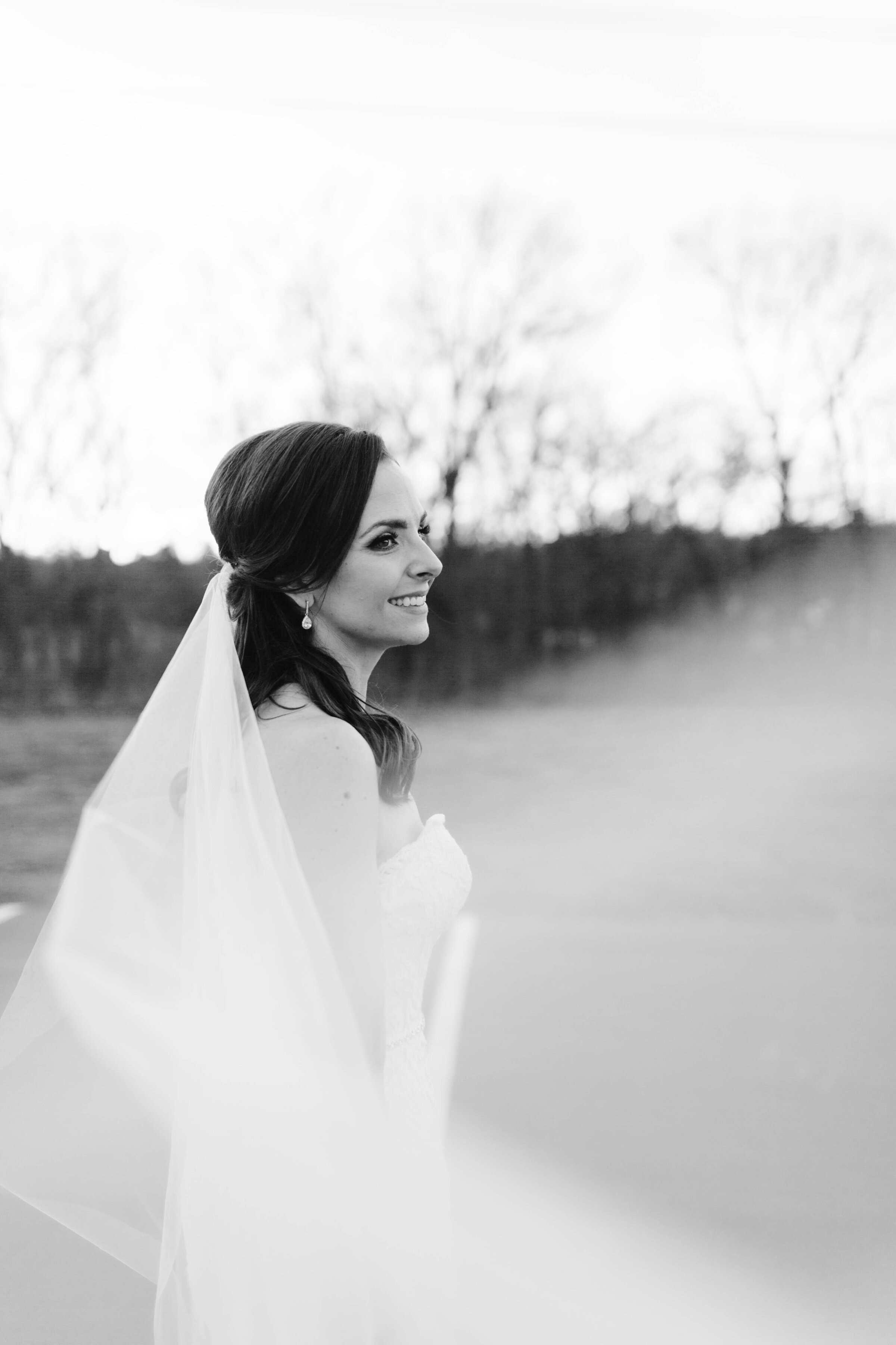 Bridal portrait with veil. 
