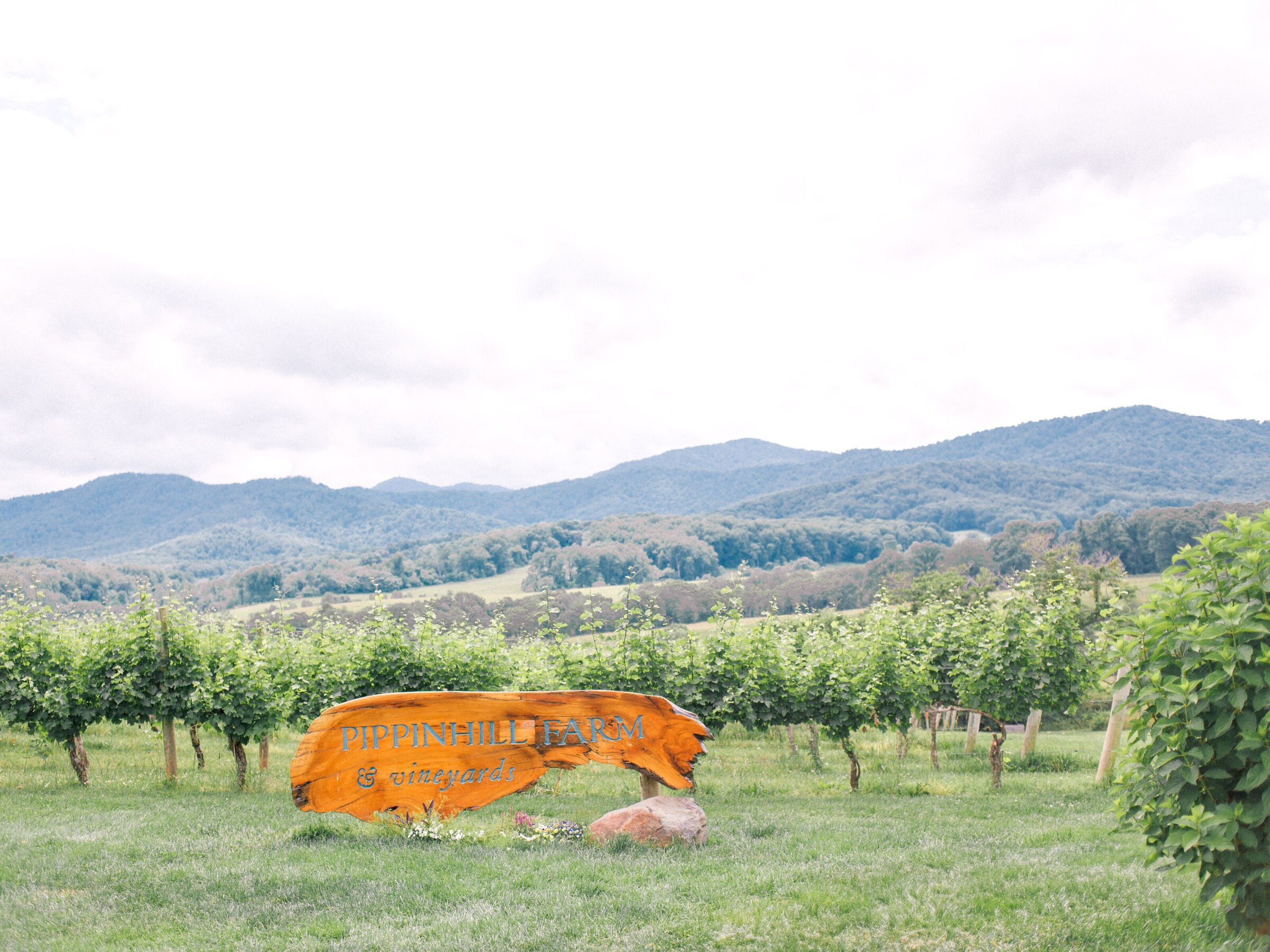Pippin Hill Wedding Charlottesville Virginia Photographer_17