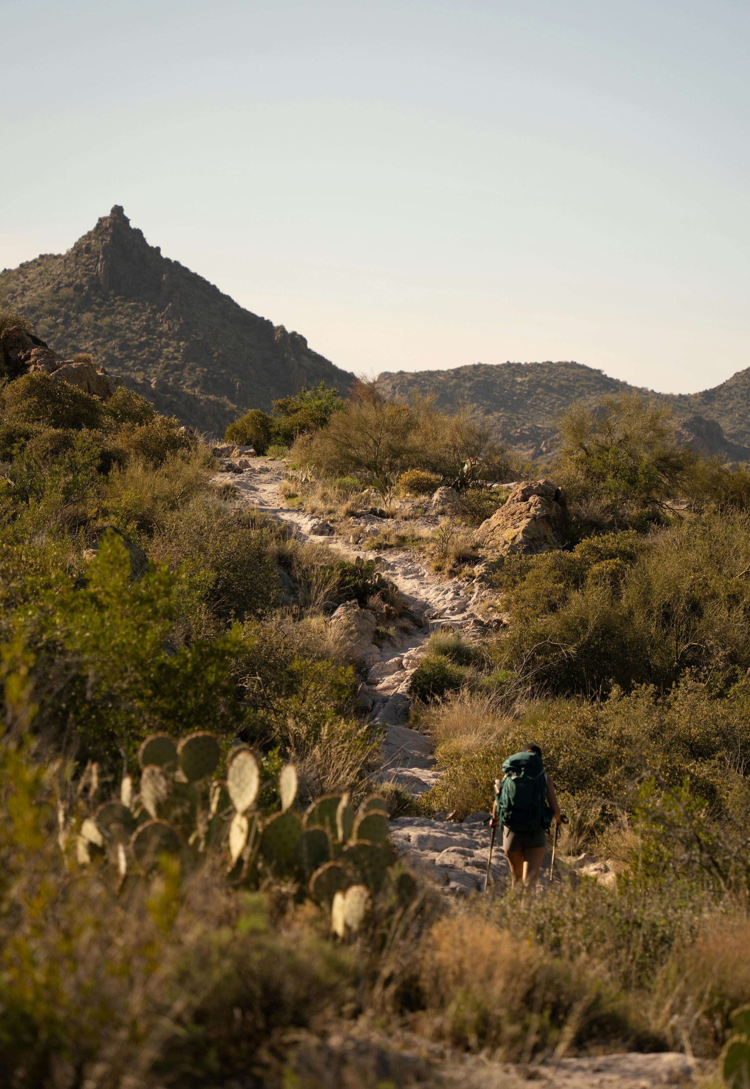 Arizona hiking trail
