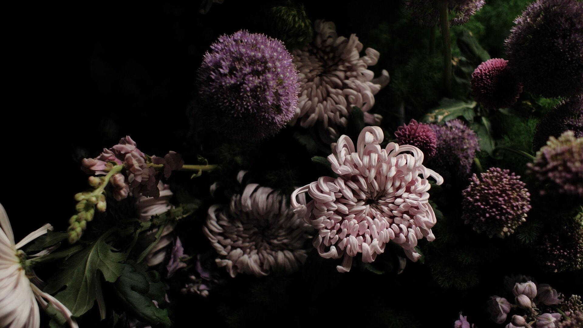 A tale of romance_1.1.2