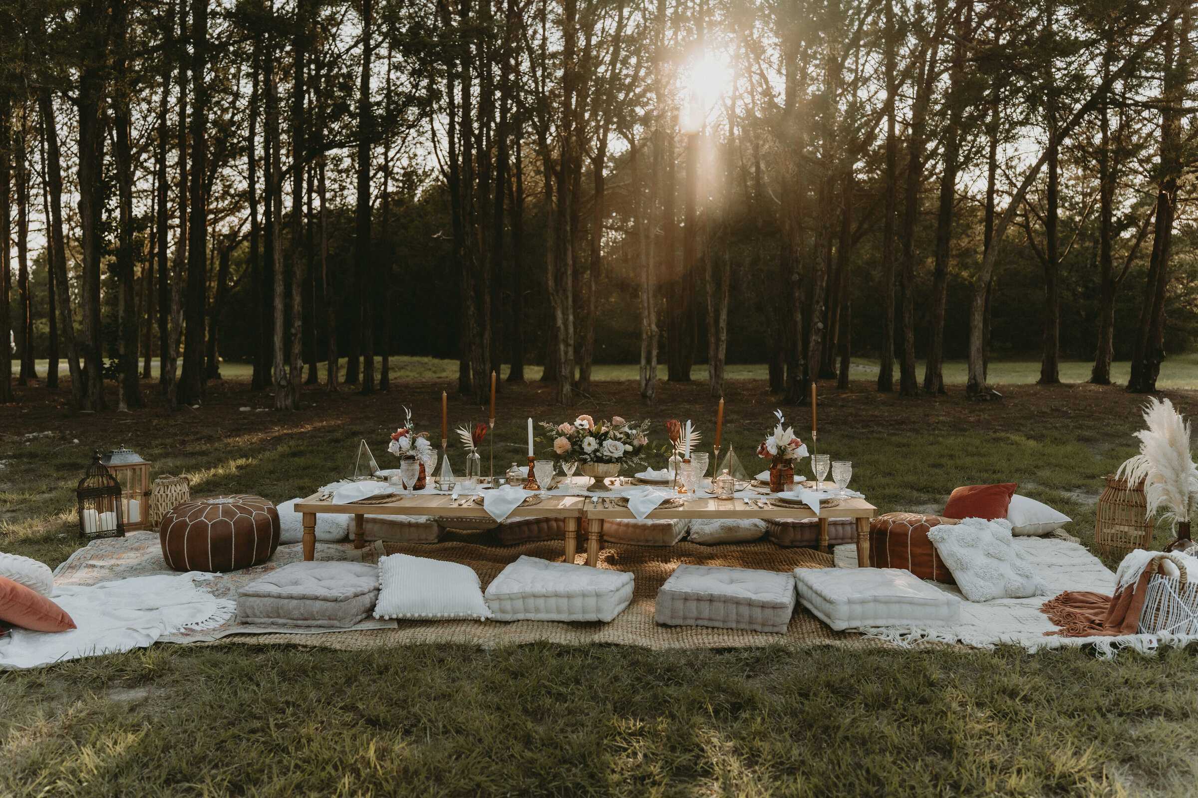 DFW Luxury Boho picnic