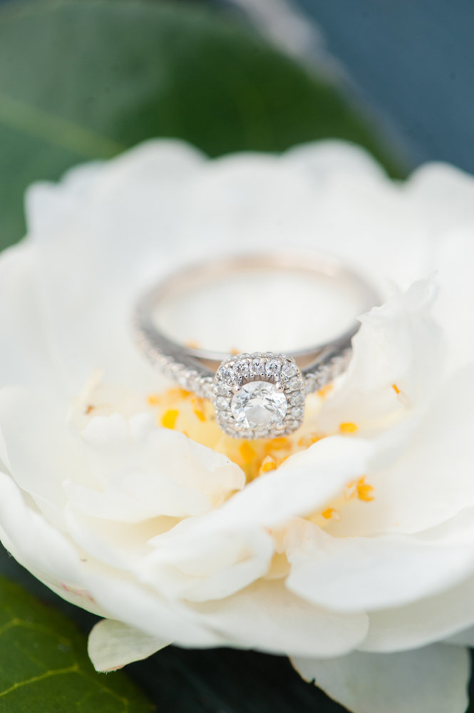 engagement-portraits-christina-forbes-photography-17