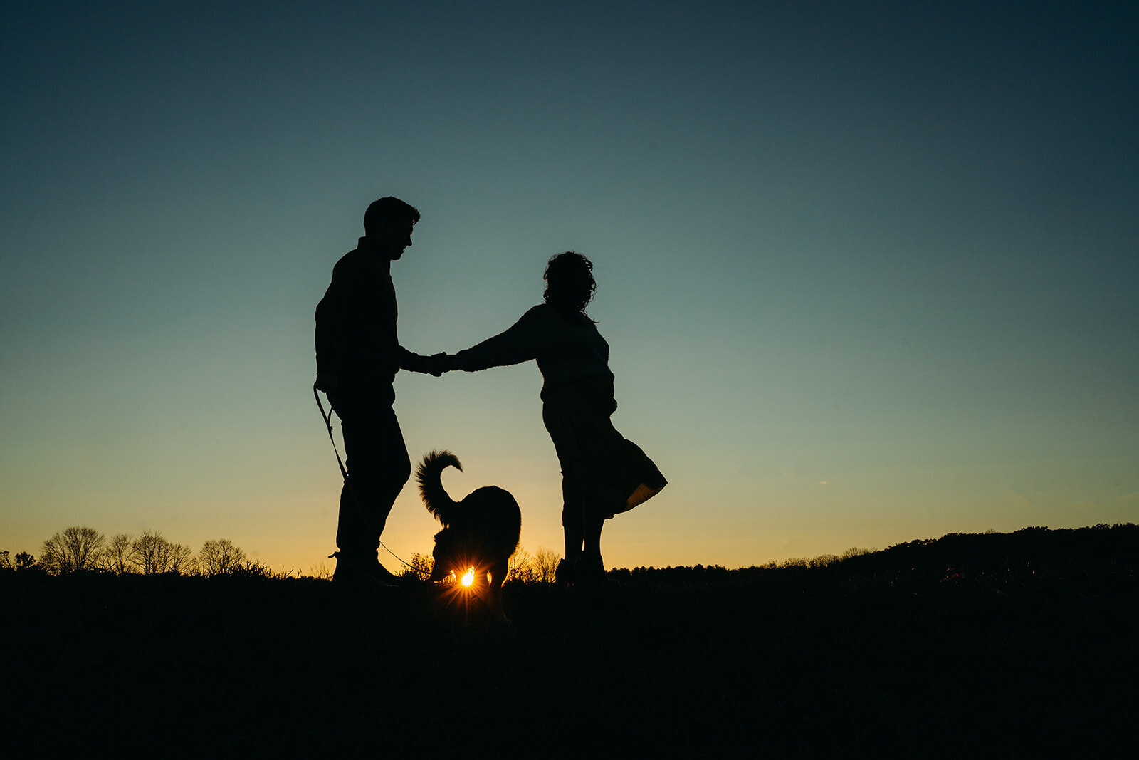 silhouette of pregnant couple with dog at sunset