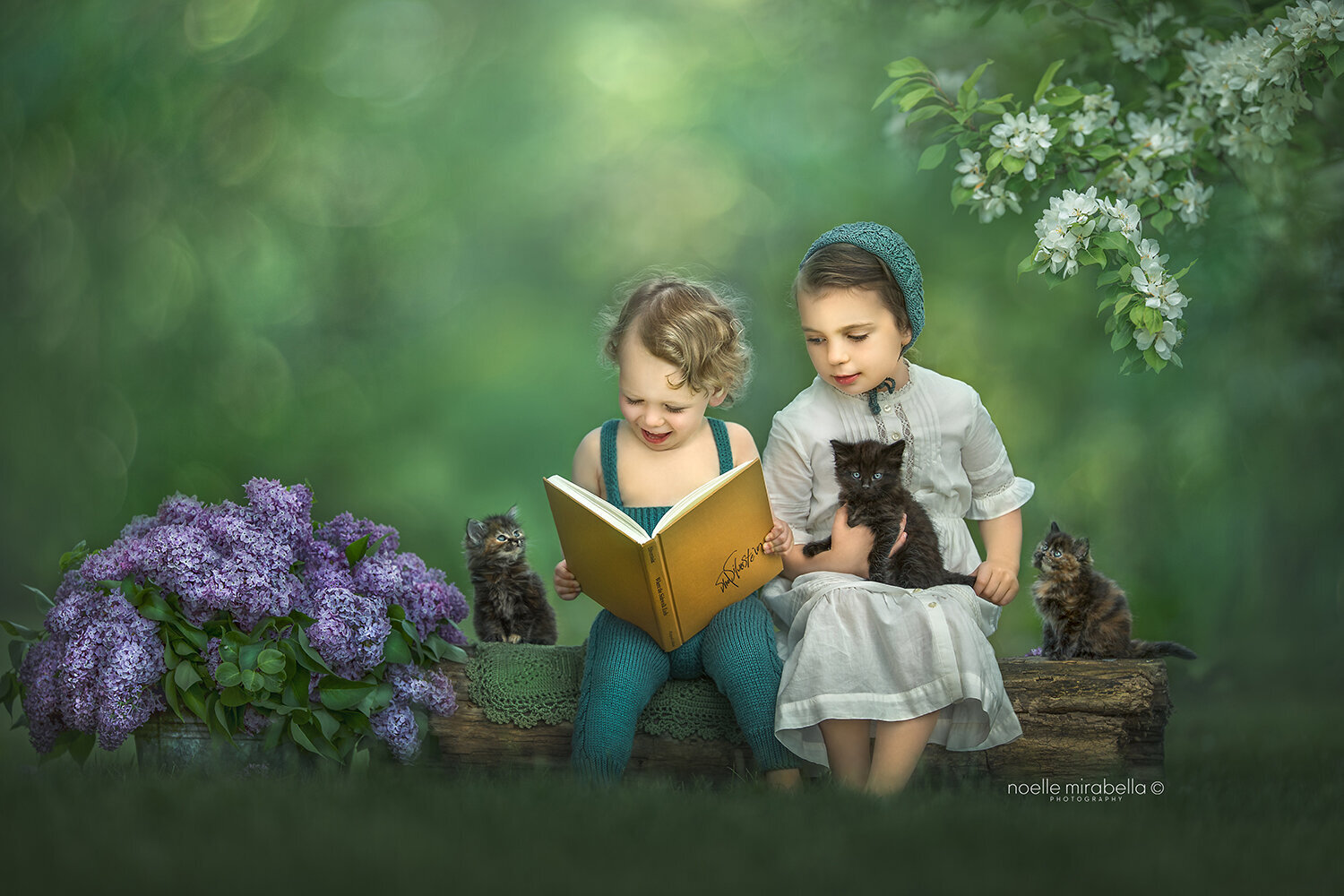 Children reading on a log with kittens and flowers.