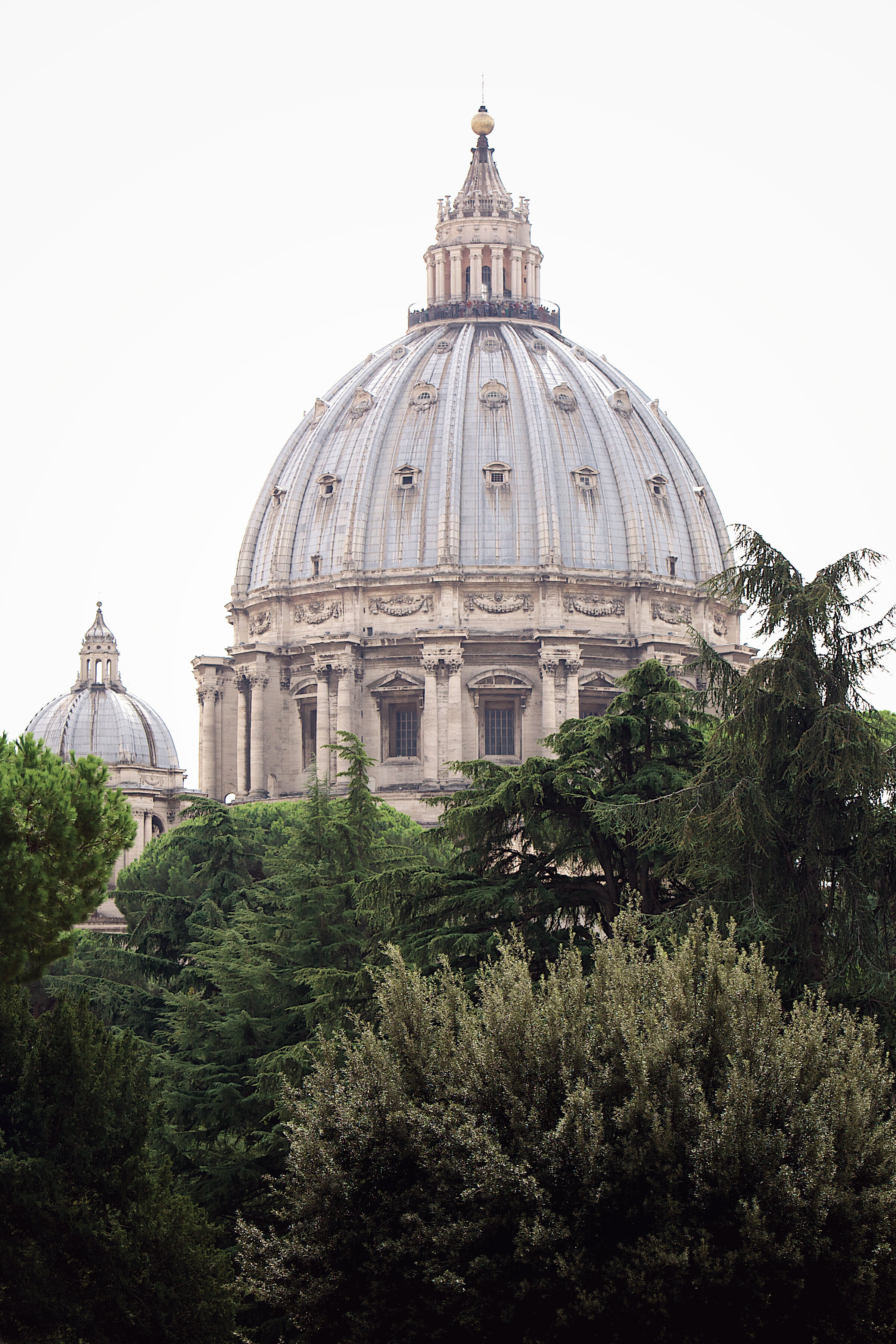 vaticanoverthetrees