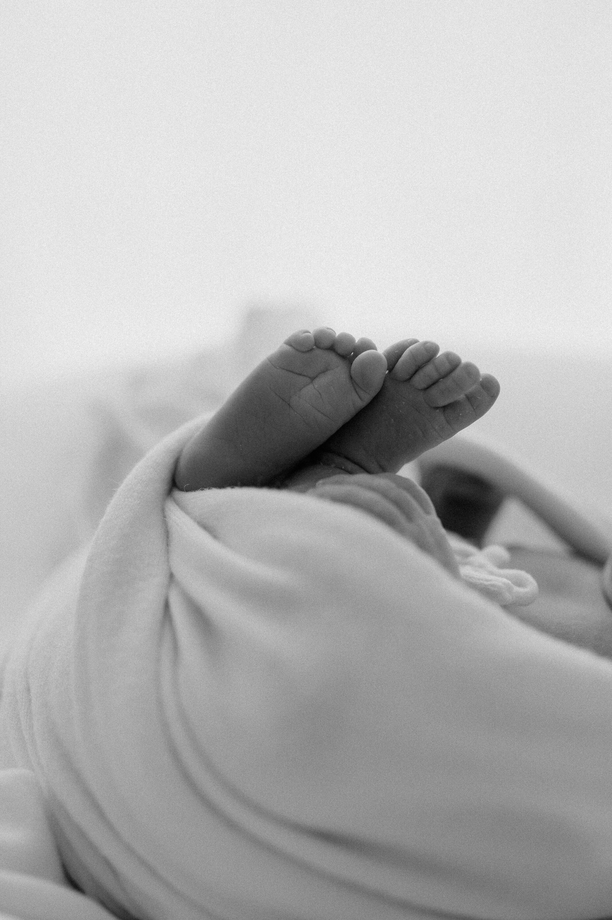 newborn baby boy toes by York newborn photographer