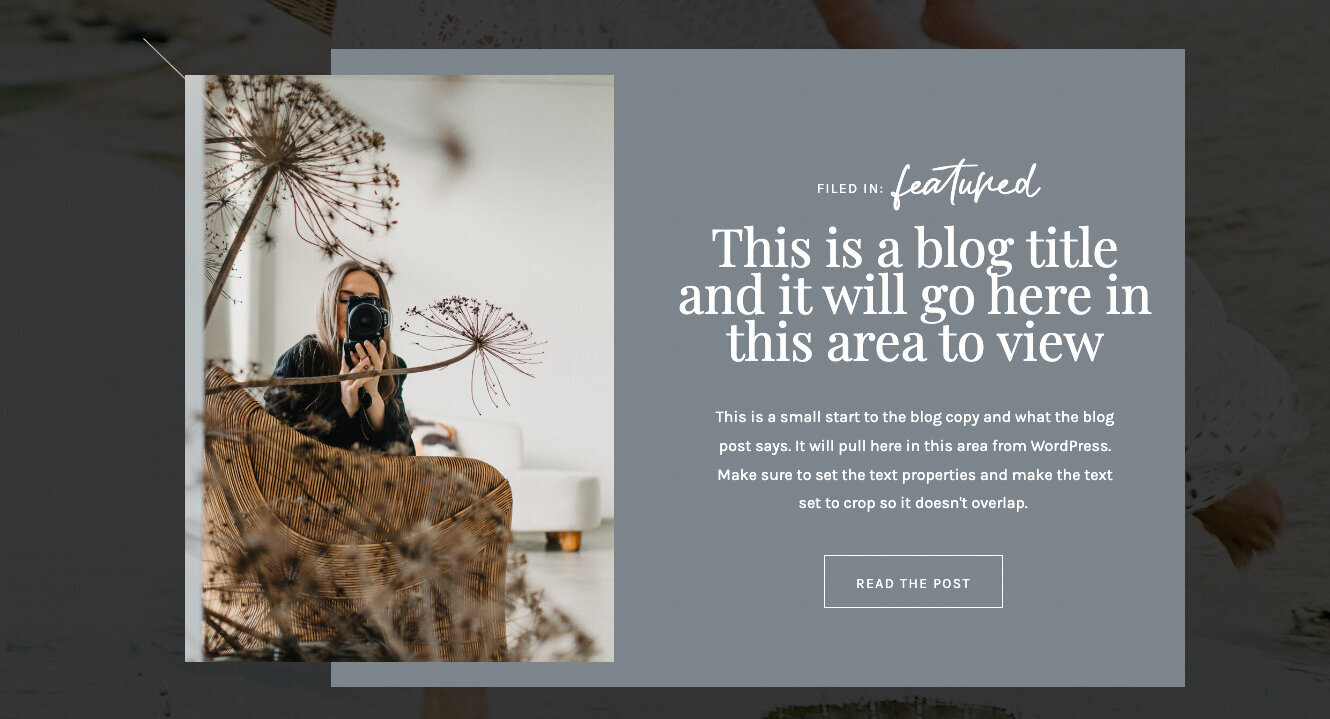 Site Canvas Studio-11