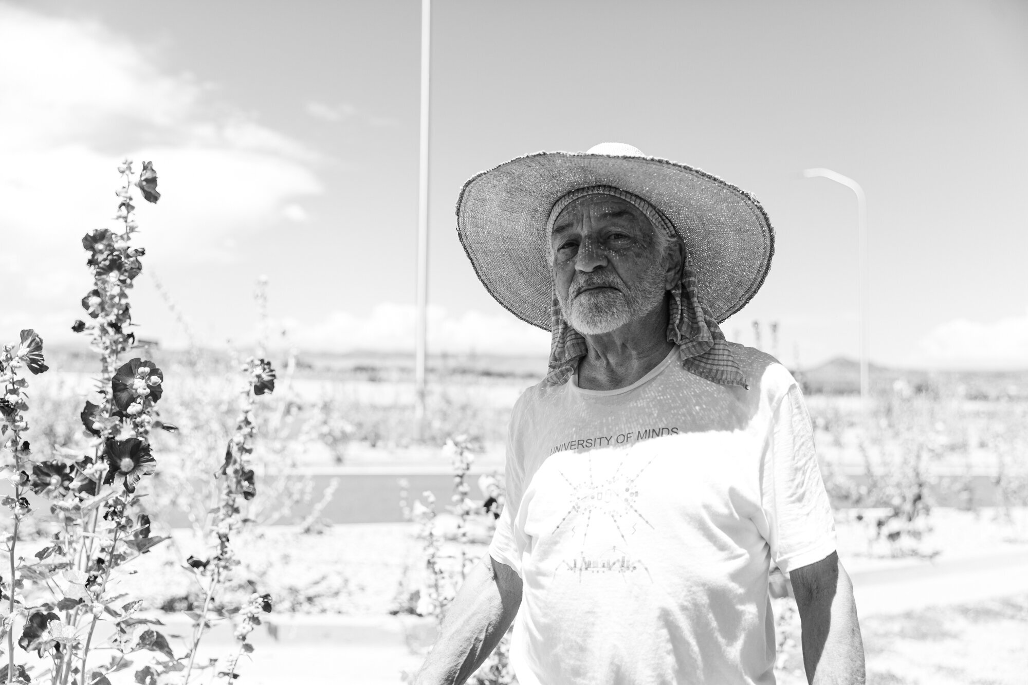 taos-3