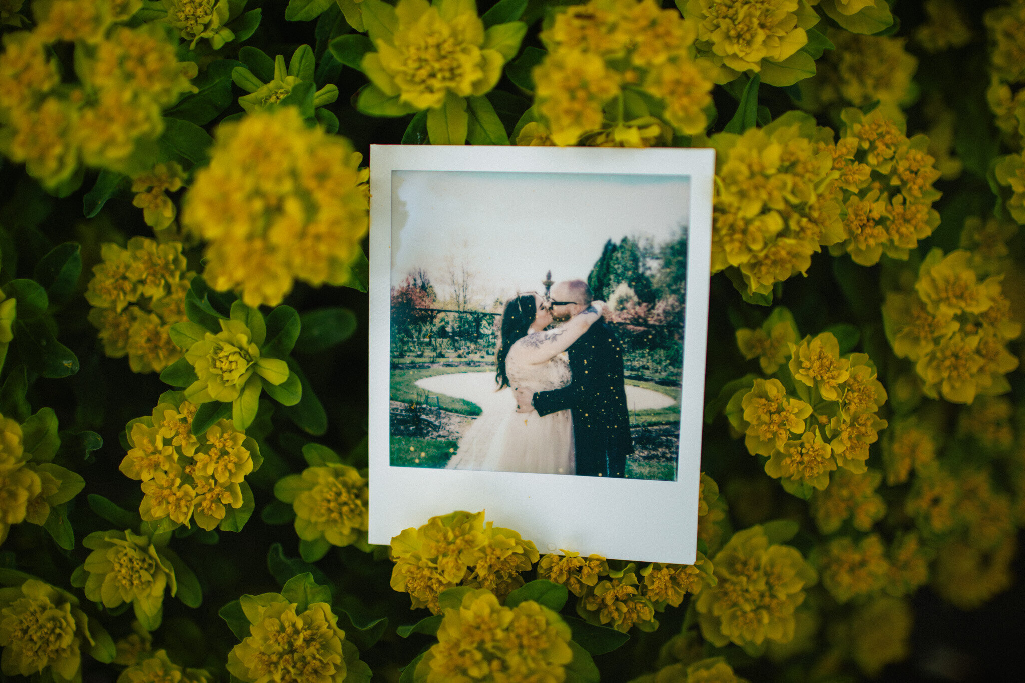 fan tan alley victoria bc wedding