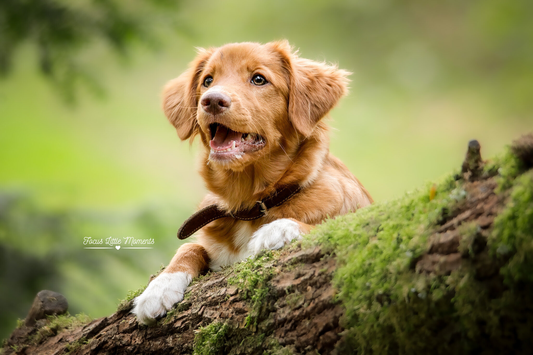 DSC05358-bewerktwWEB