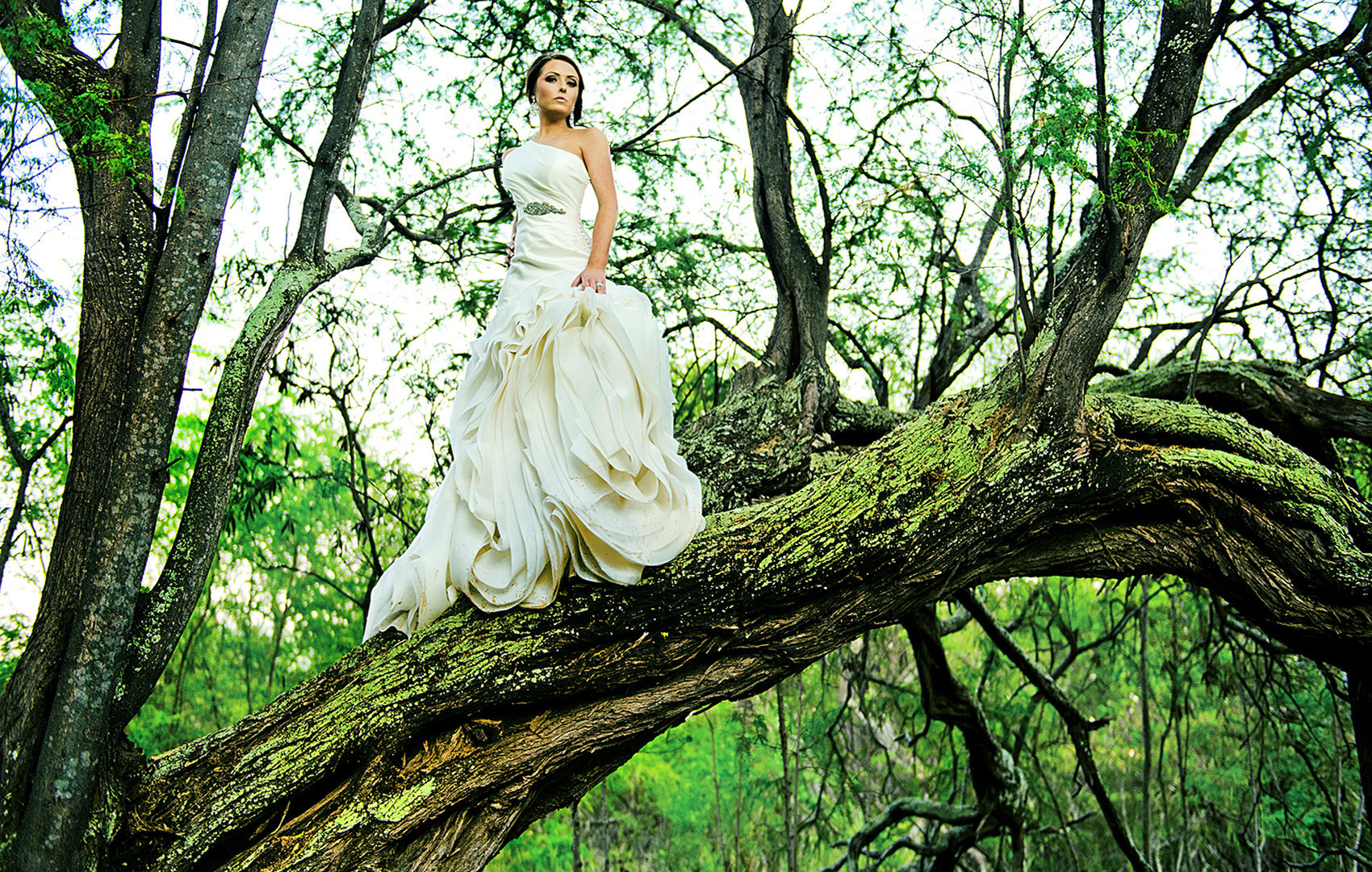 Maui bride on a tree after her affordable  wedding.