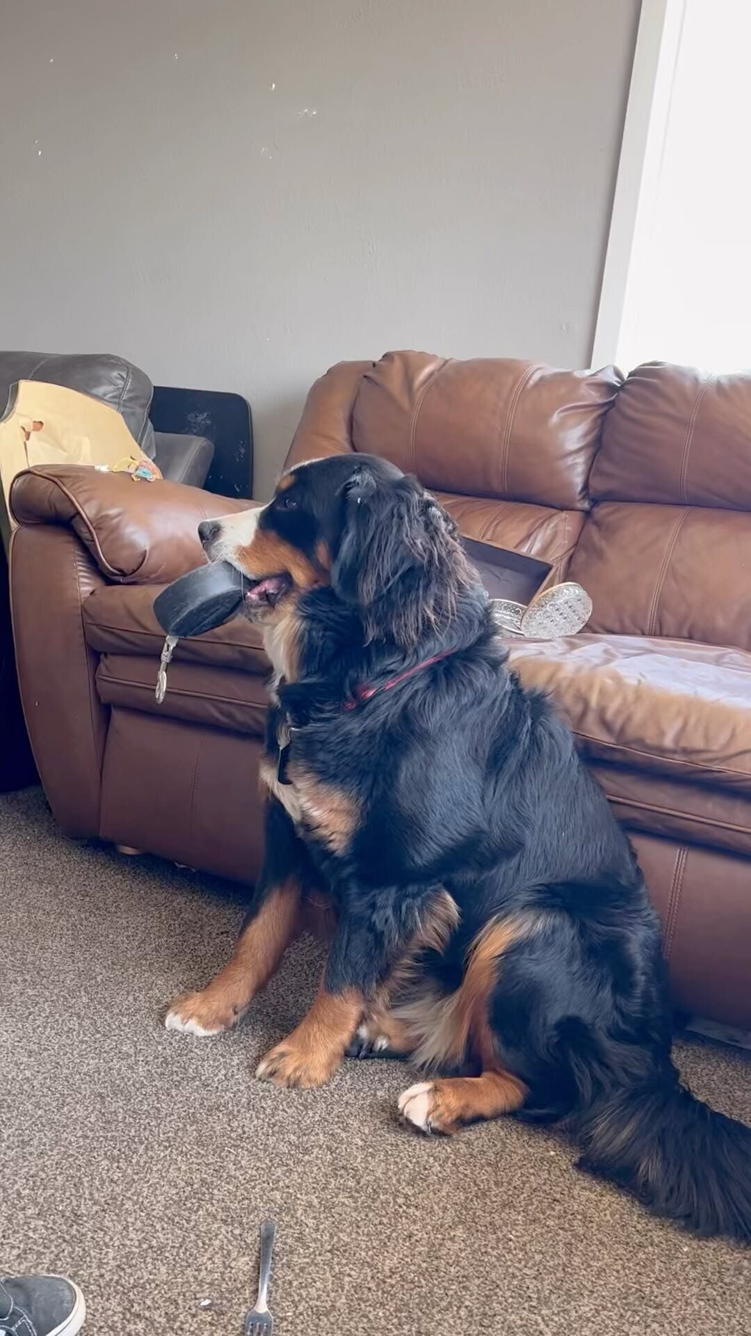 306057262_659308765531472_5910937434182262318_n