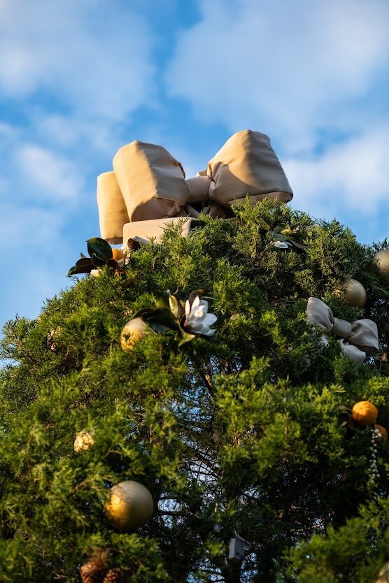 PADTREETOP
