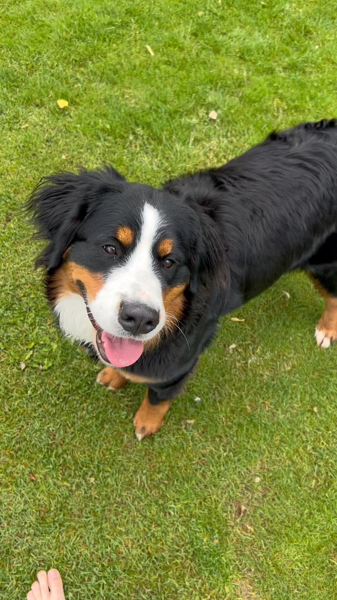 332797815_882924456095501_3164673935191109533_n