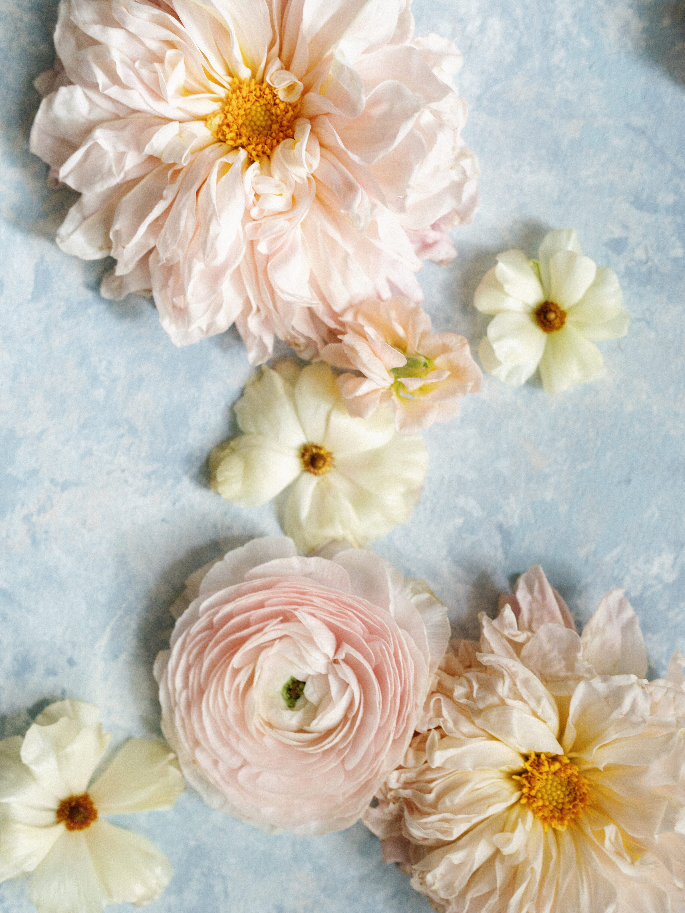 mikaylacphotos-07258