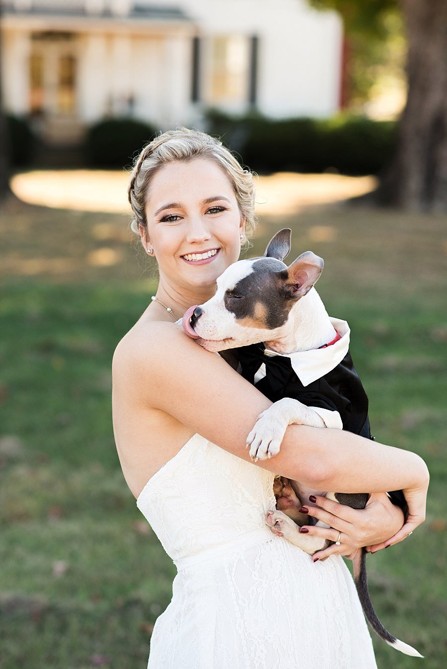 Bride holding a pitbull that is wearing a tuxedo
