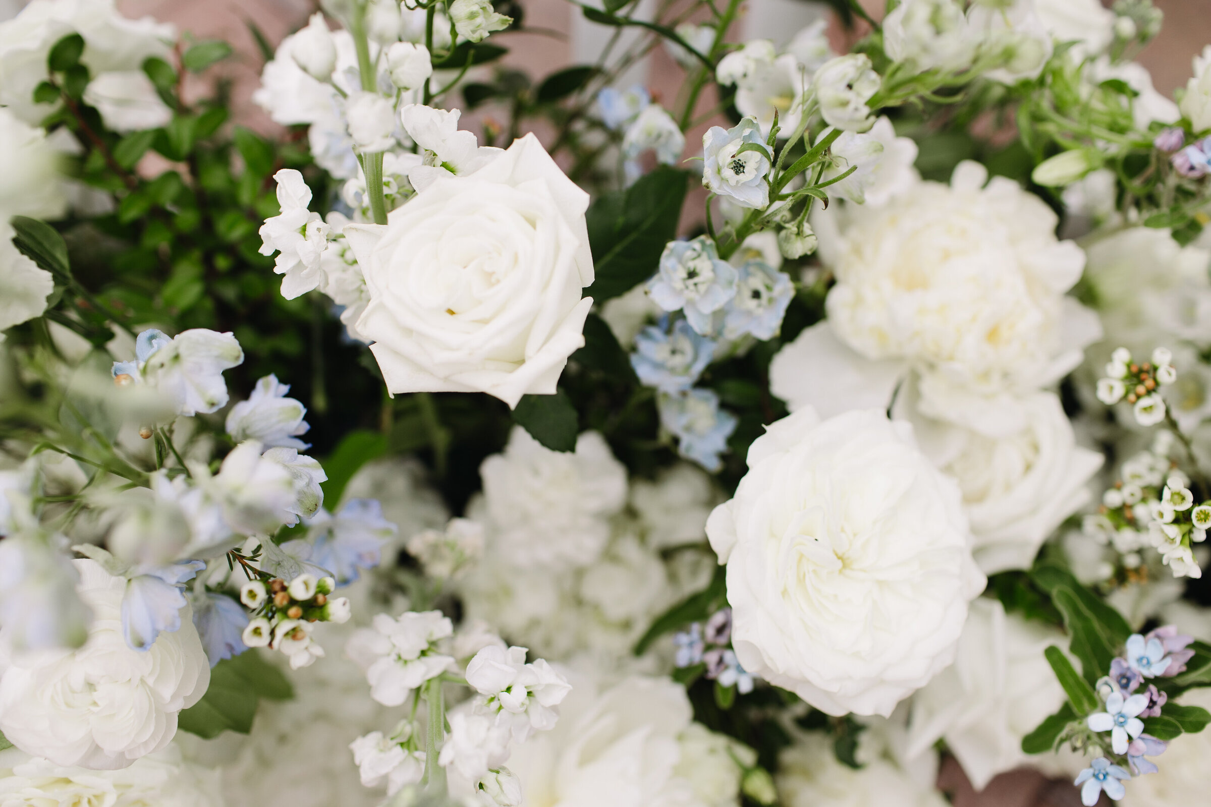 Jacksonville-Wedding-Photographer23