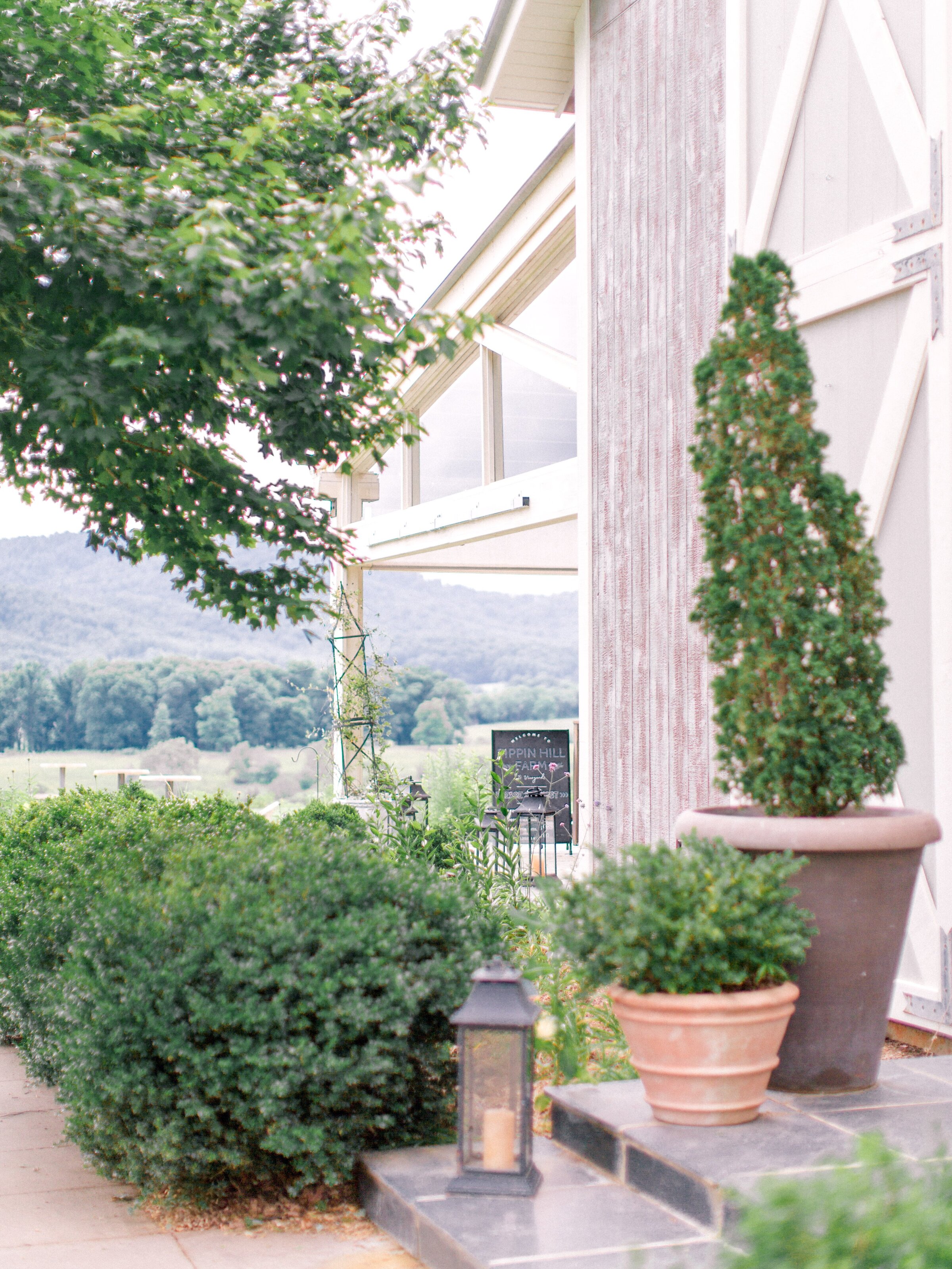 Pippin Hill Wedding Charlottesville Virginia Photographer_22