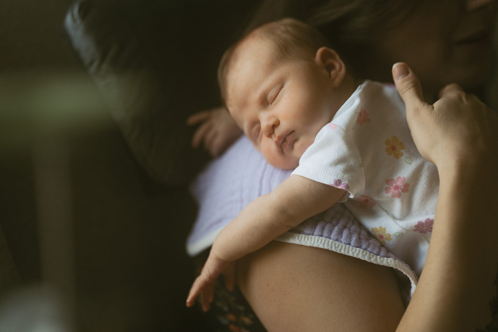 CronkFamilyNewborn-3_websize