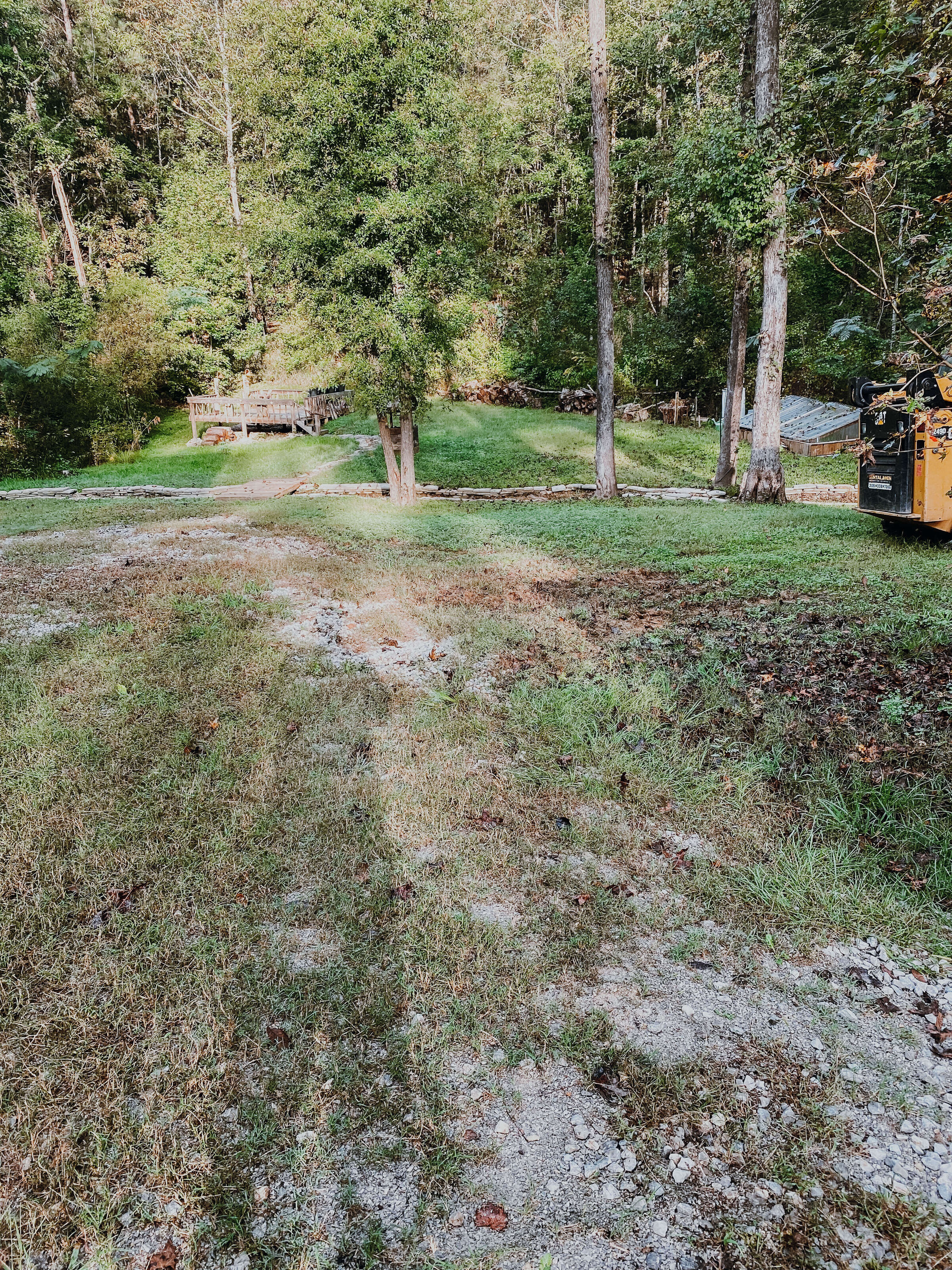 messy-gravel-path-in-front-of-backyard-trees