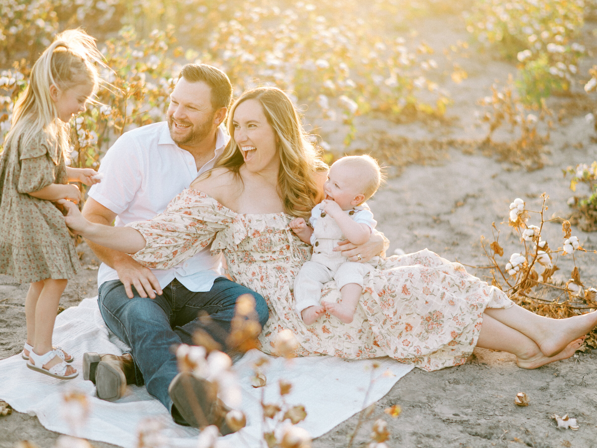 TidwellCotton-MRP162