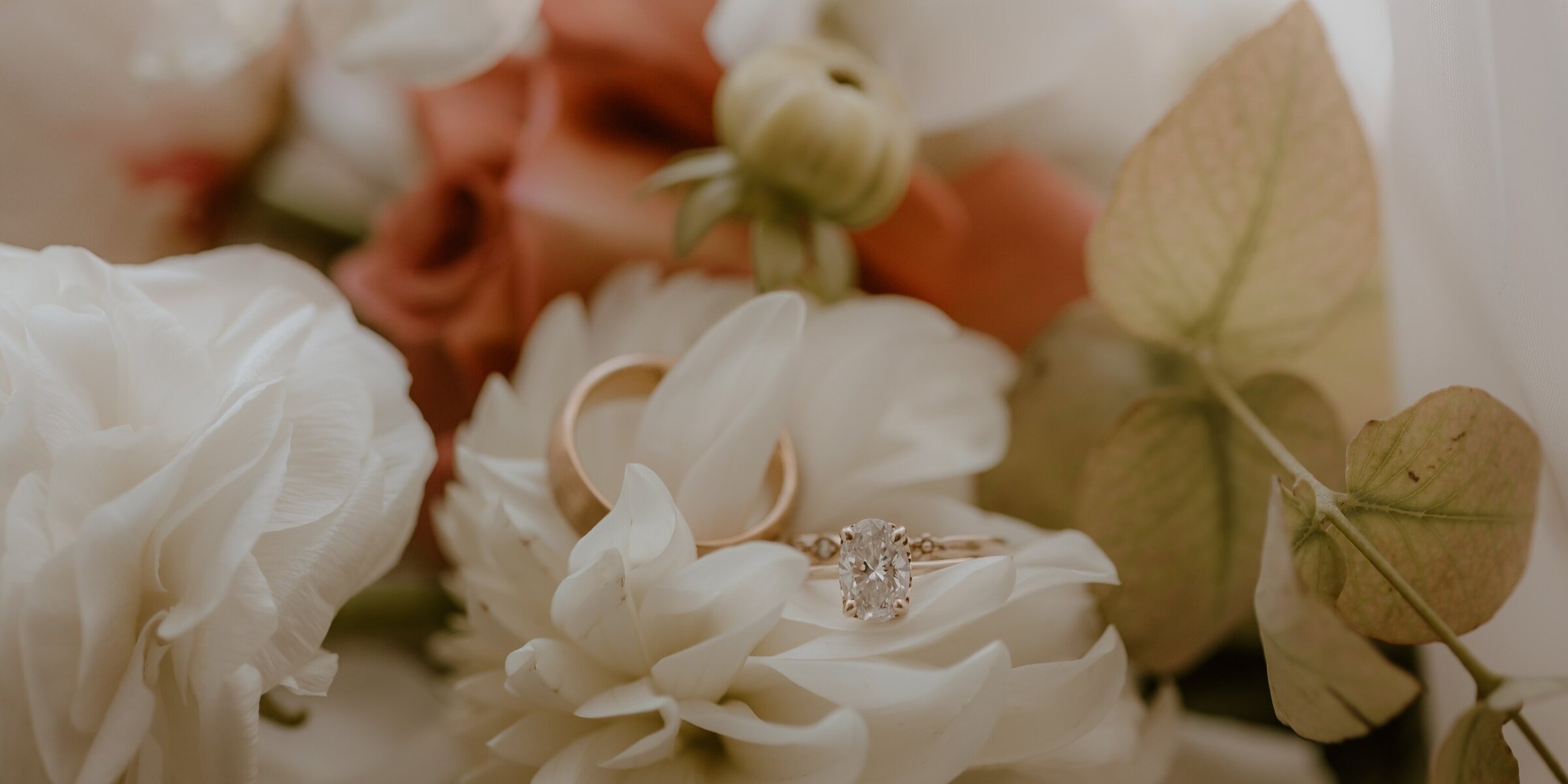 Floriography banner 3