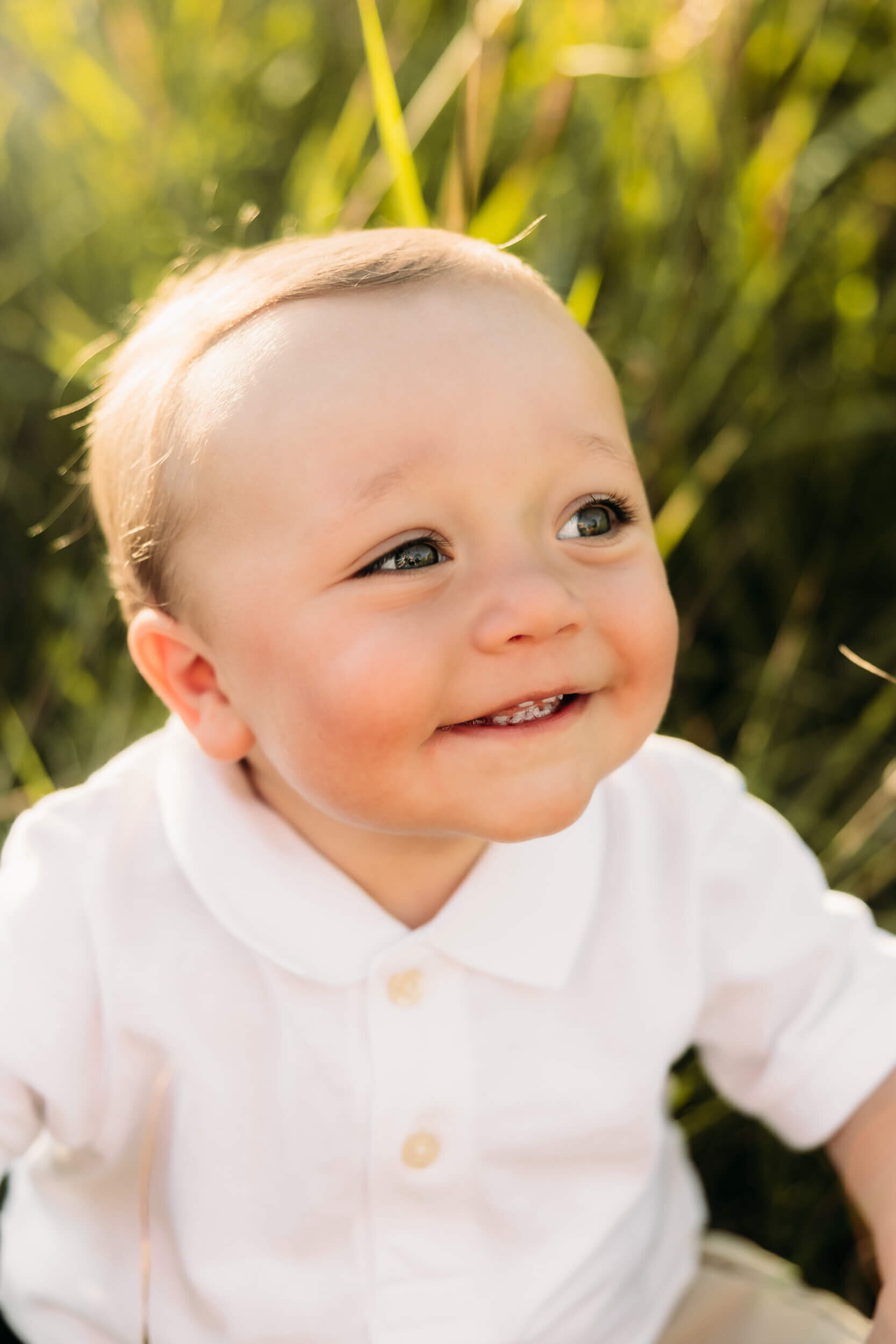 Weston, the One Year Old - 17