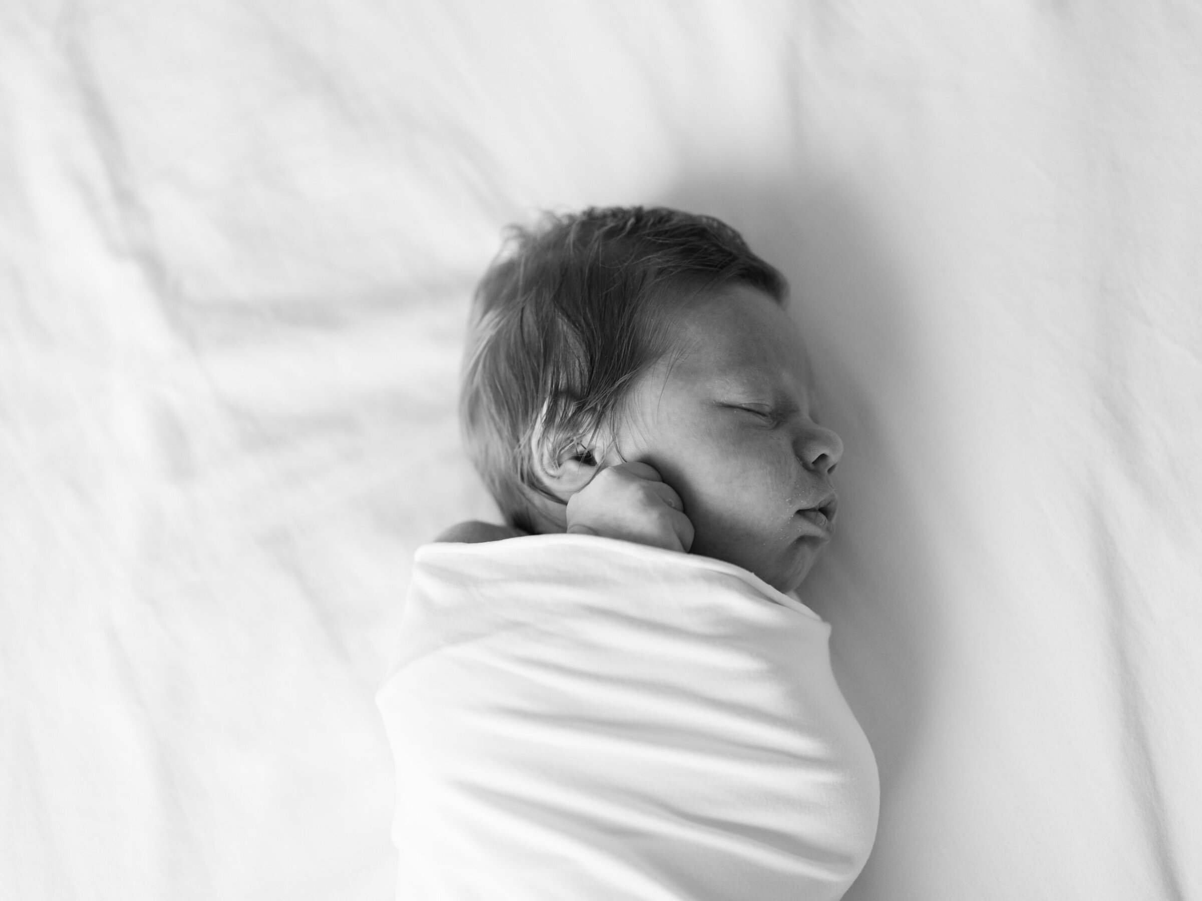 Meg Staheli Photo-8