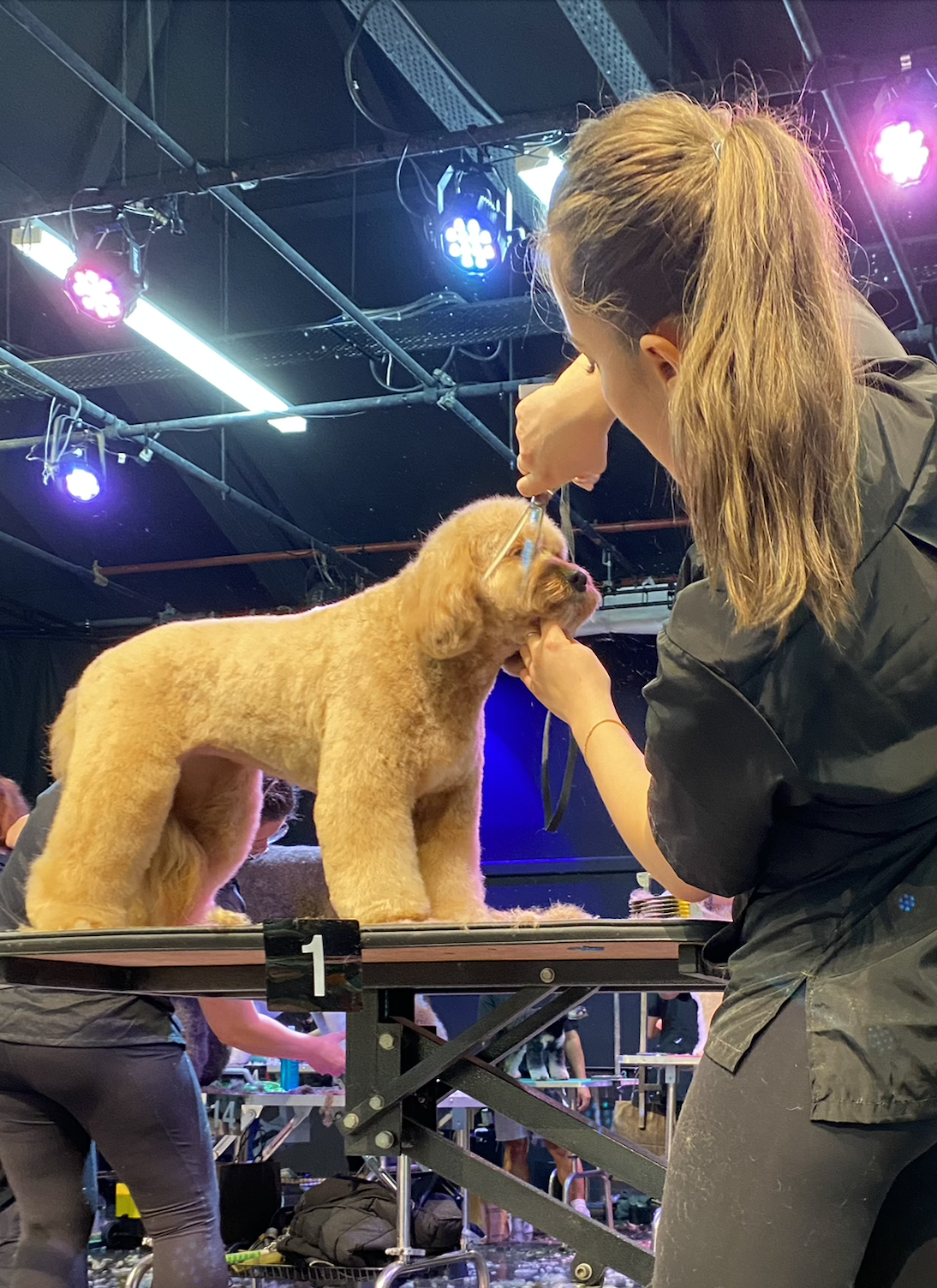 Screenshot 2025-09-14 at 4.19.47 PM