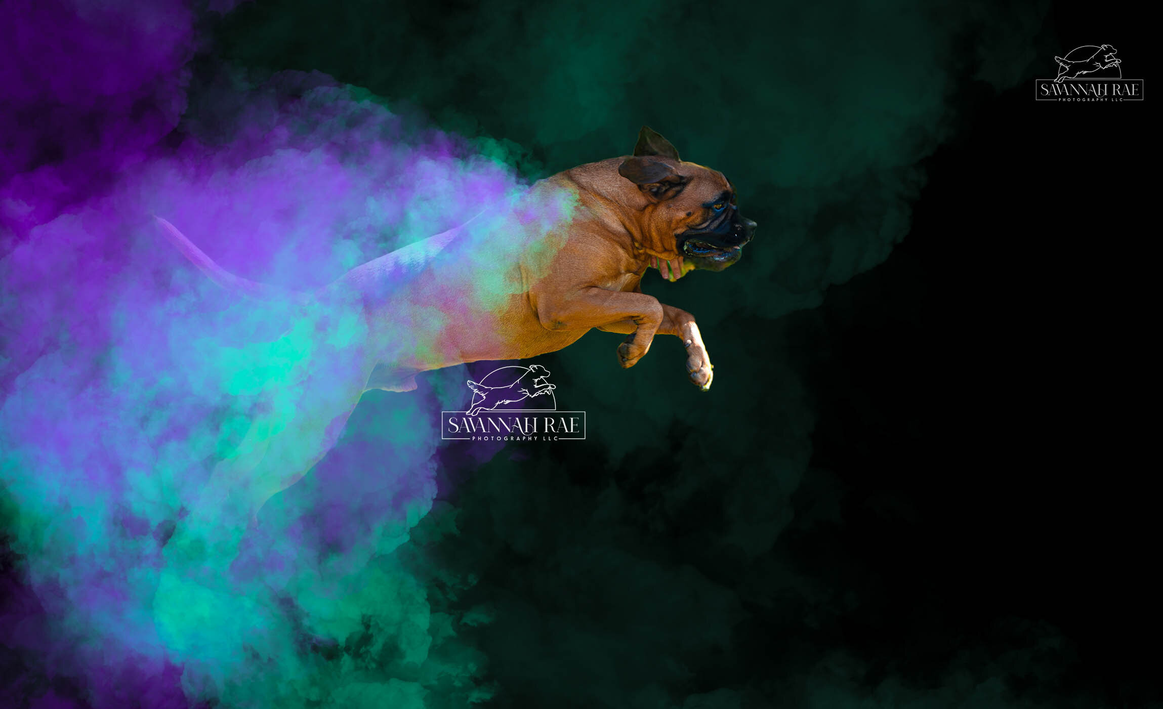 Shannon Powder -1 SM