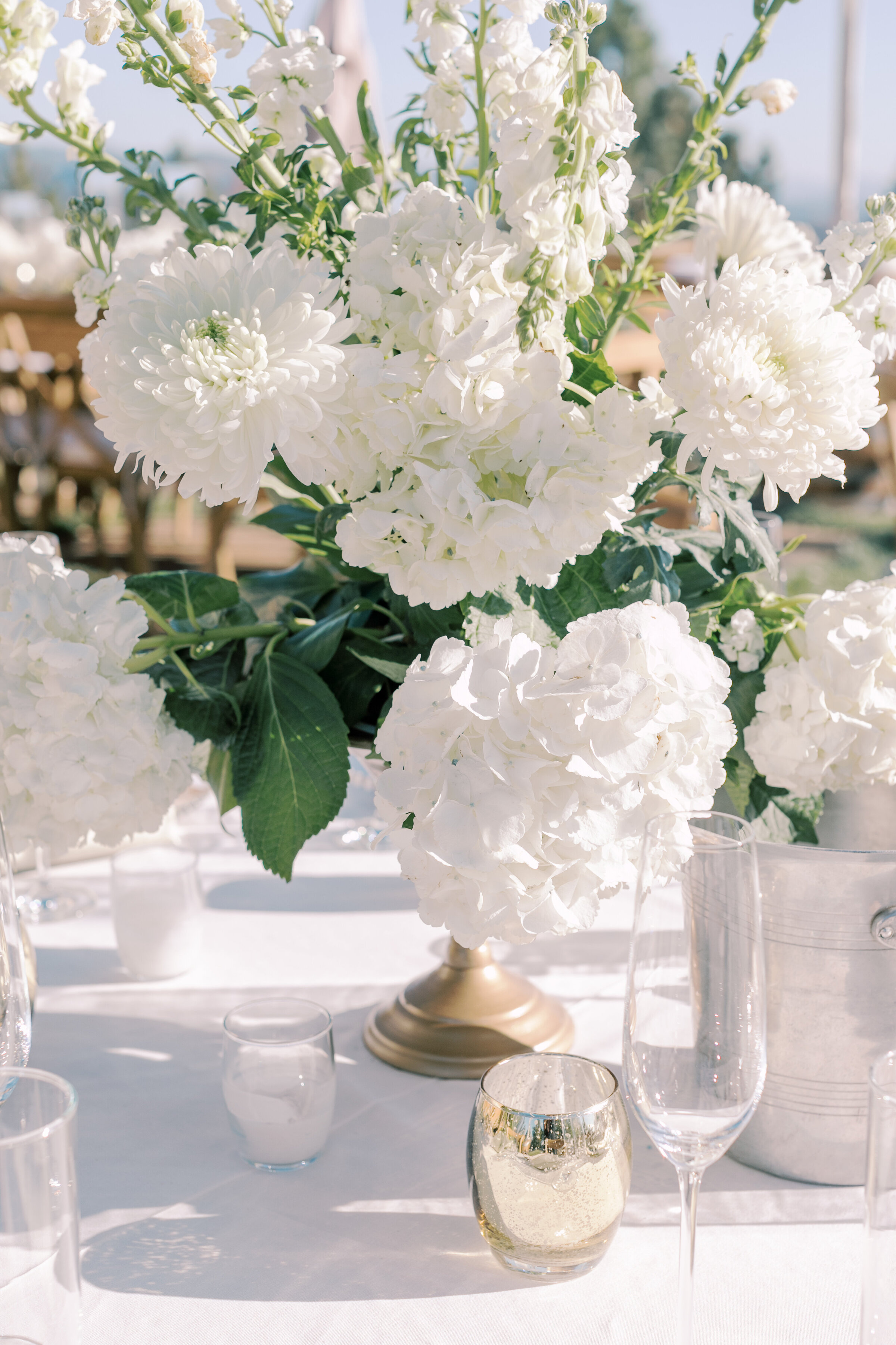 mathewjessicawedding-1152