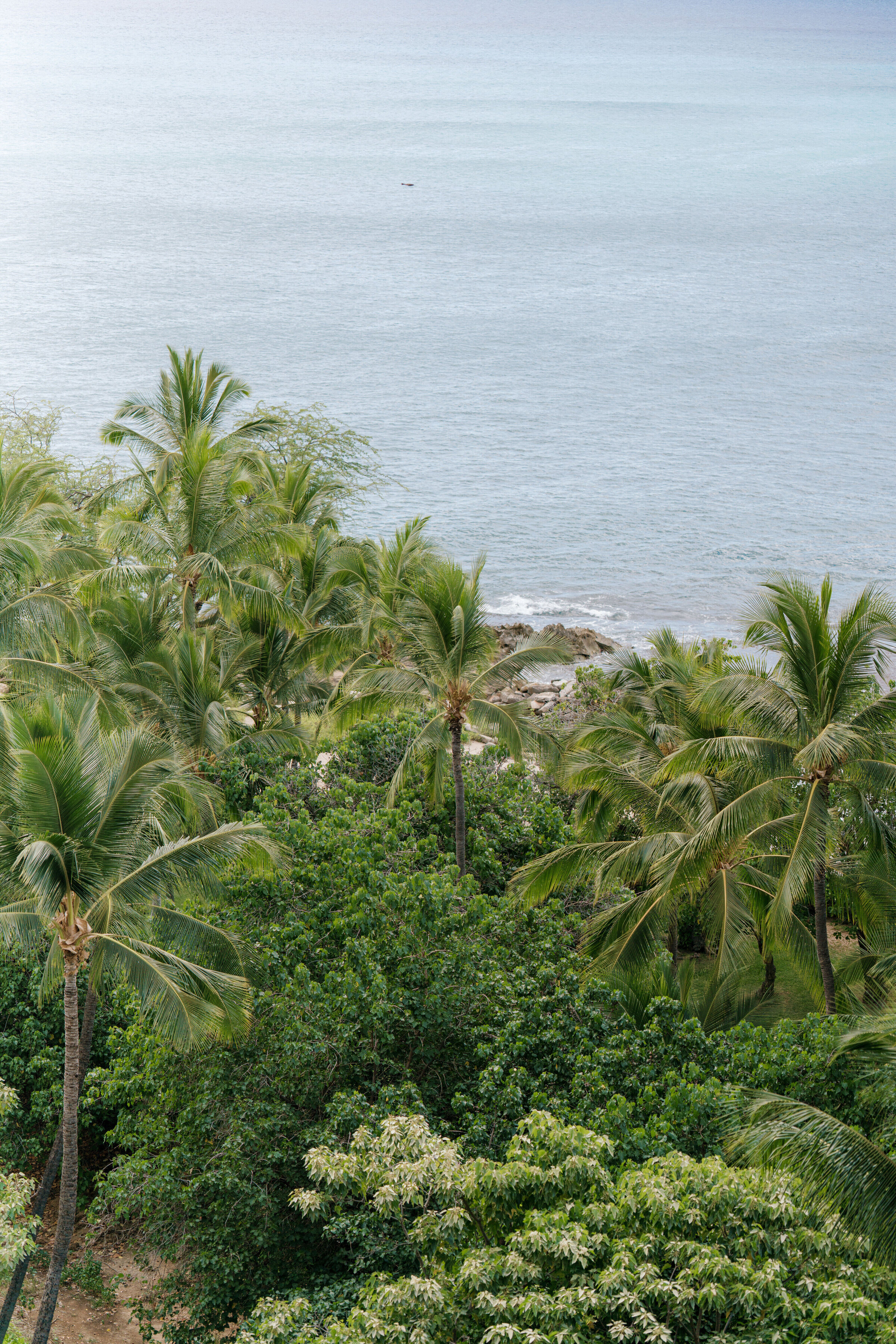 plann_download_75500712