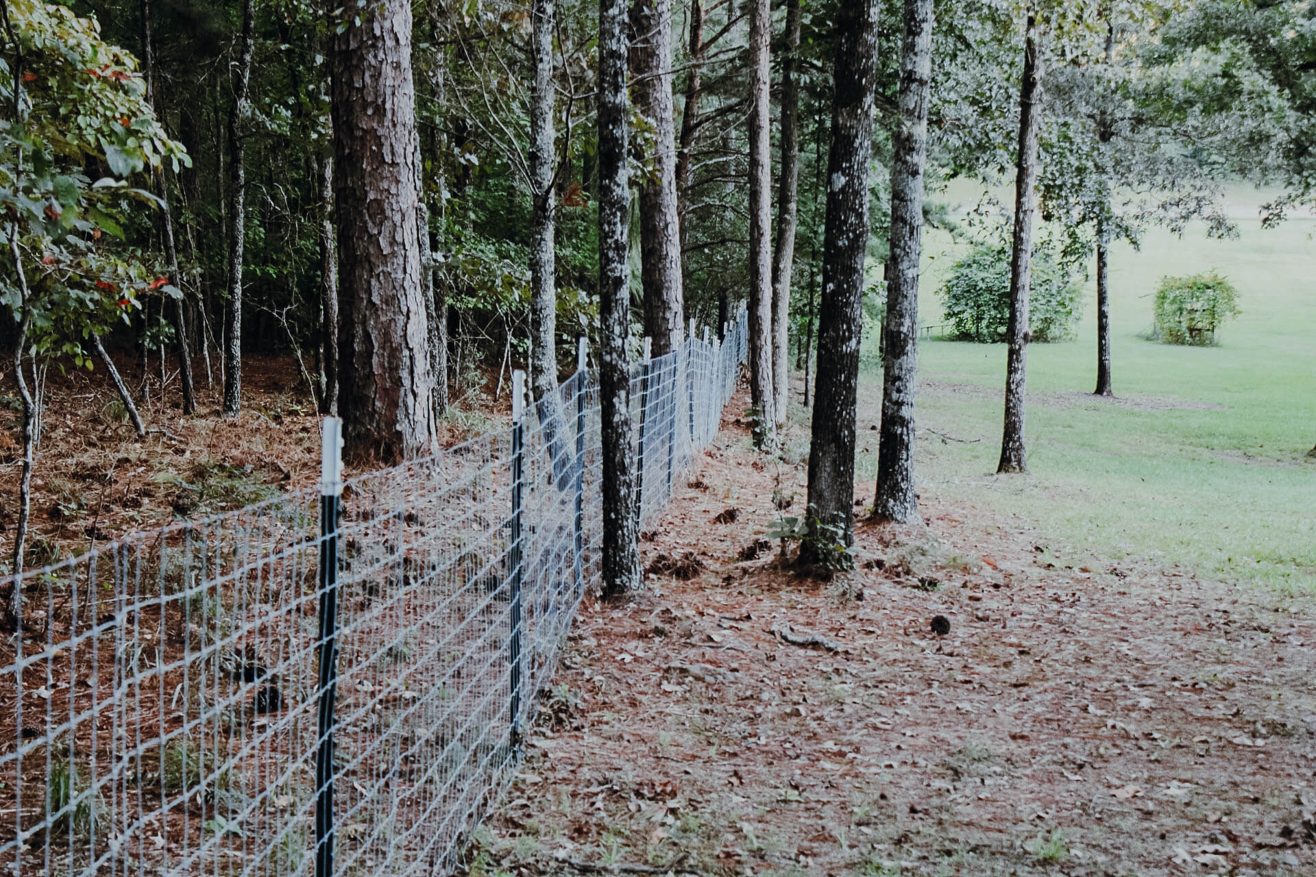 t-post-and-wire-fence-passing-through-trees-lining-edge-of-property