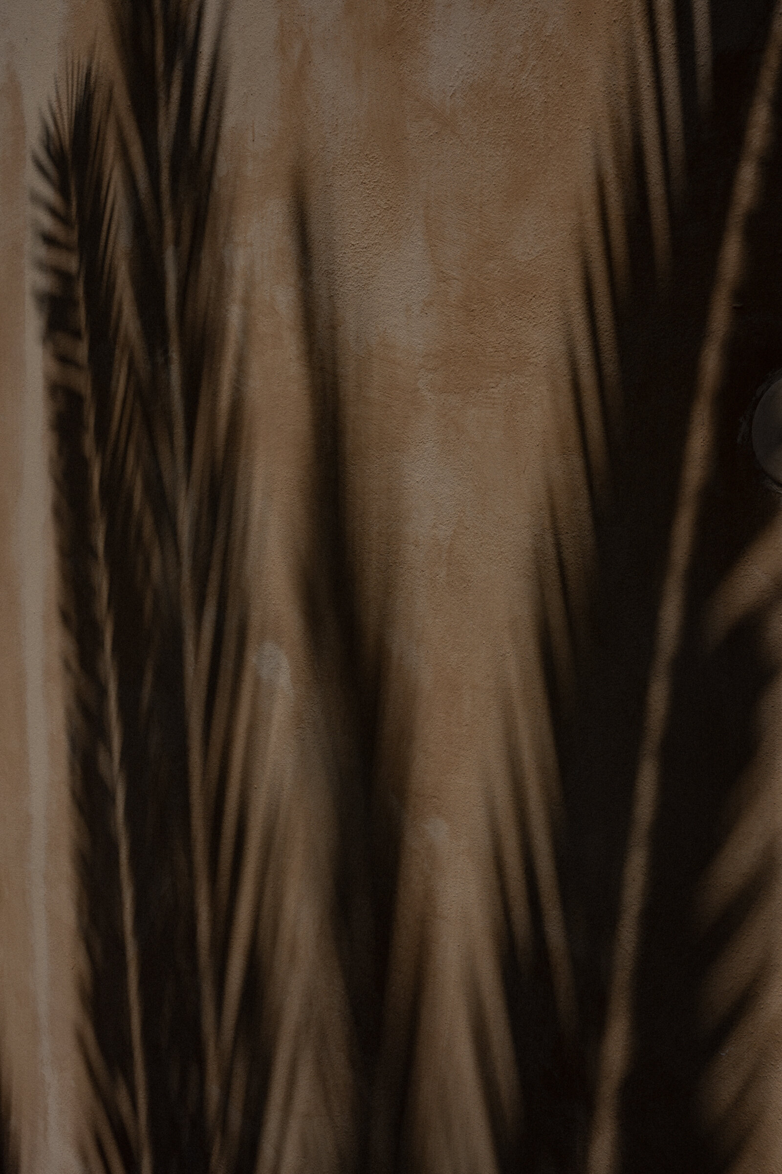 haute-stock-photography-subscription-alcove-collection-1