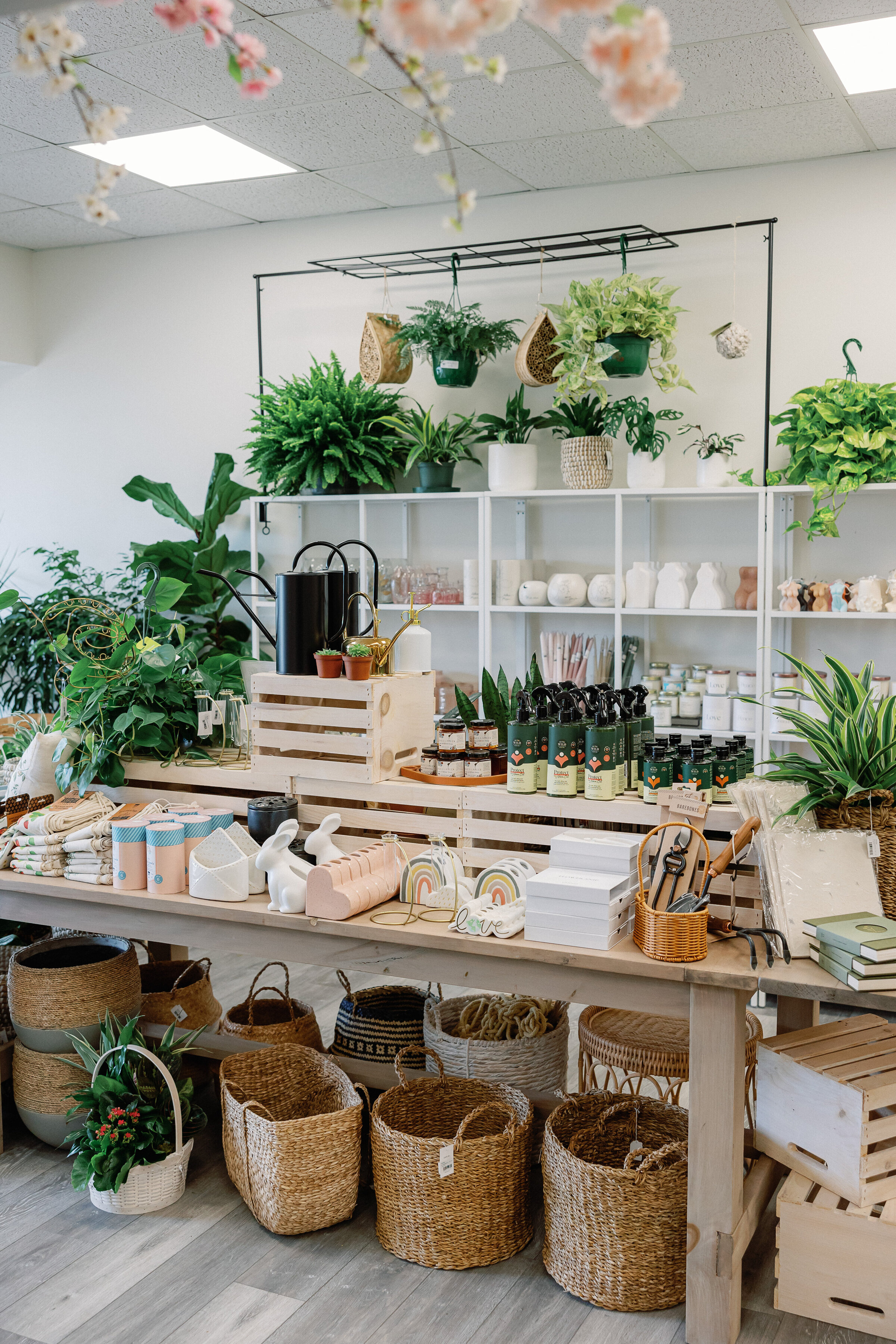 botanique cape cod florist branding session-6