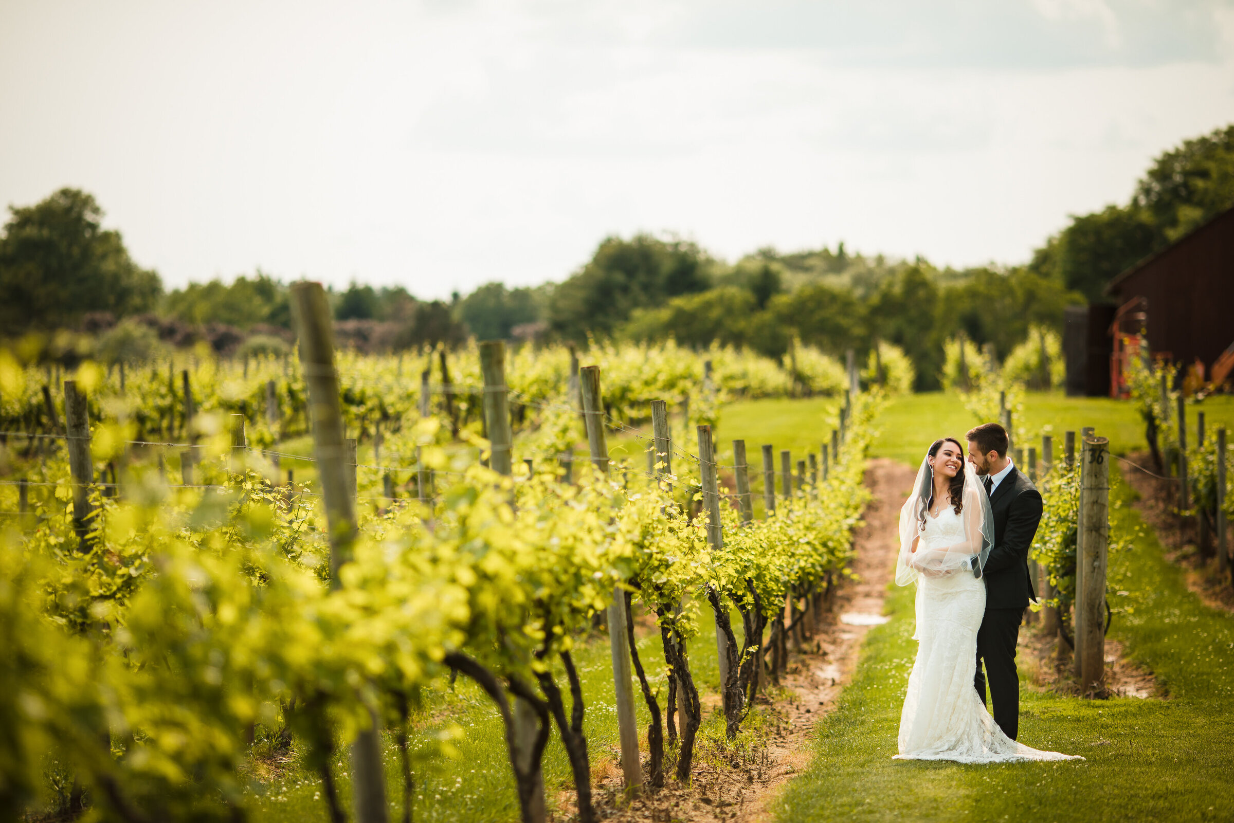 crossing-vineyard-wedding-portrait