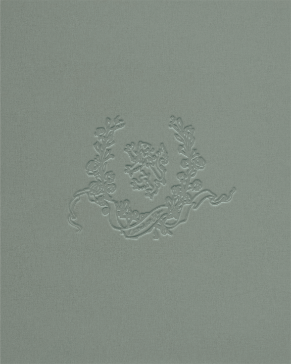 Logo- Blind LP