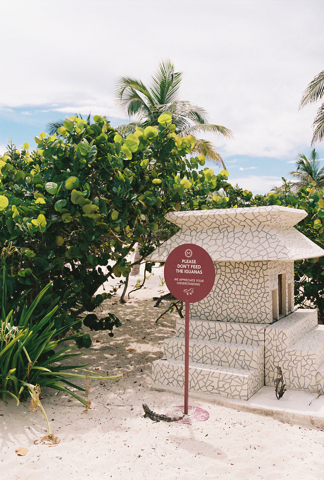 Brianna + Keegan Mexico Wedding (Film)-41_websize