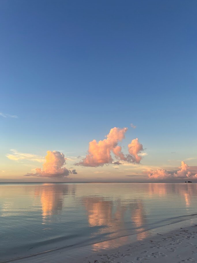 sunset pink