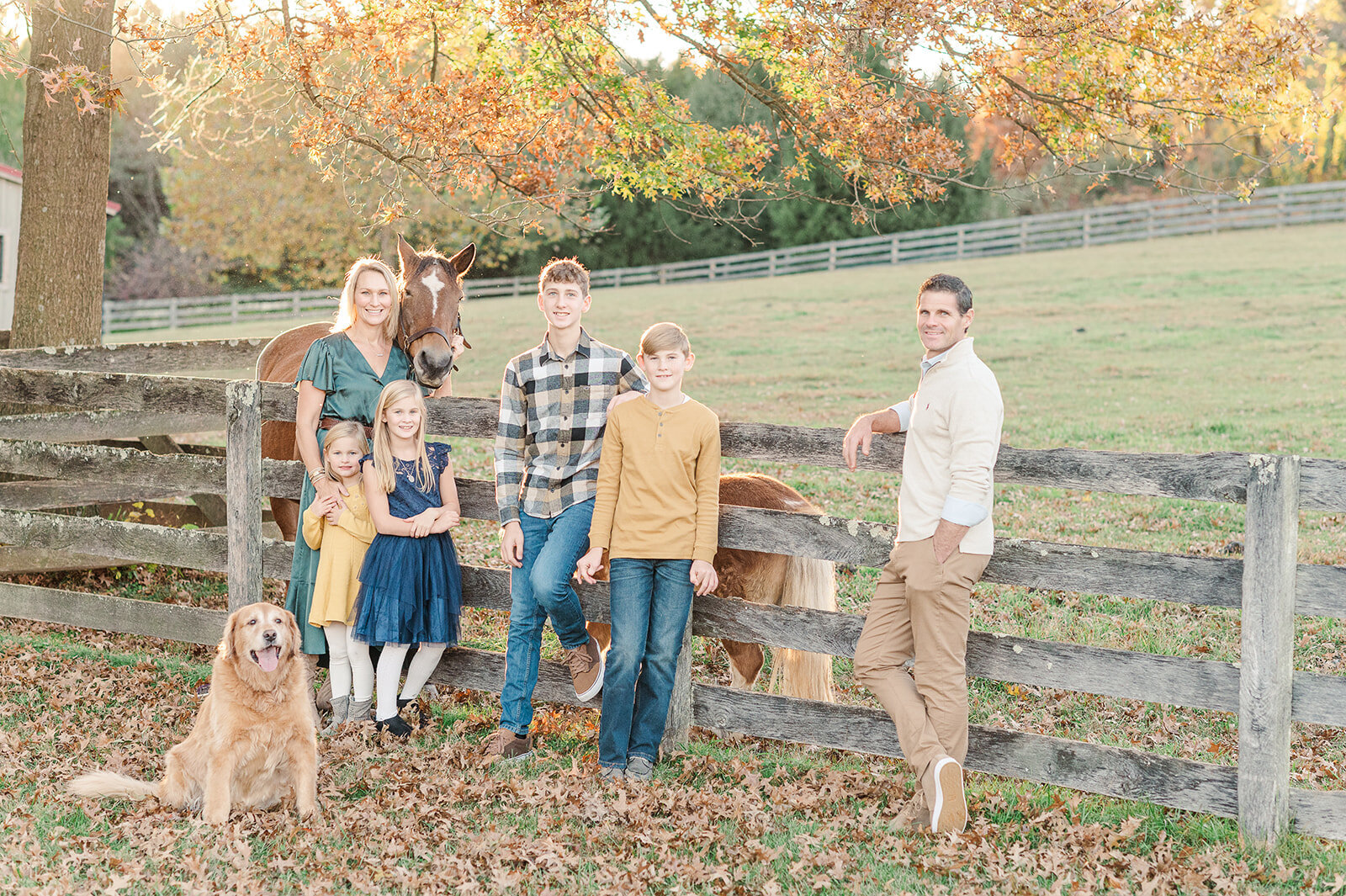large family posing in front of fence with their golden retriever and horses in york pa