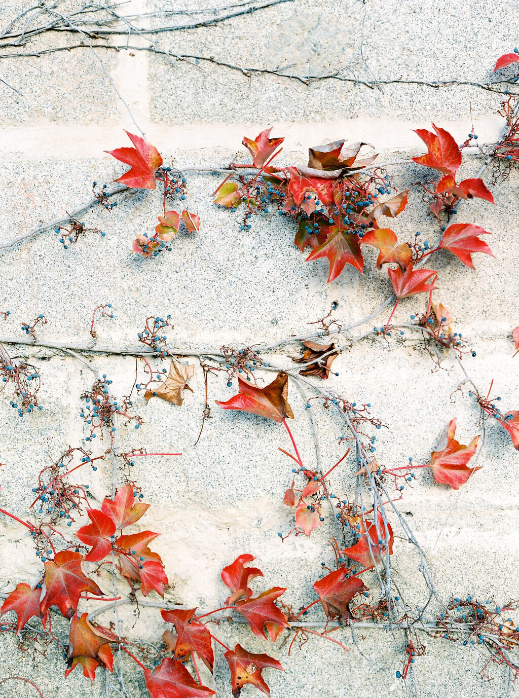 Masha_Golub_Photography_(4)