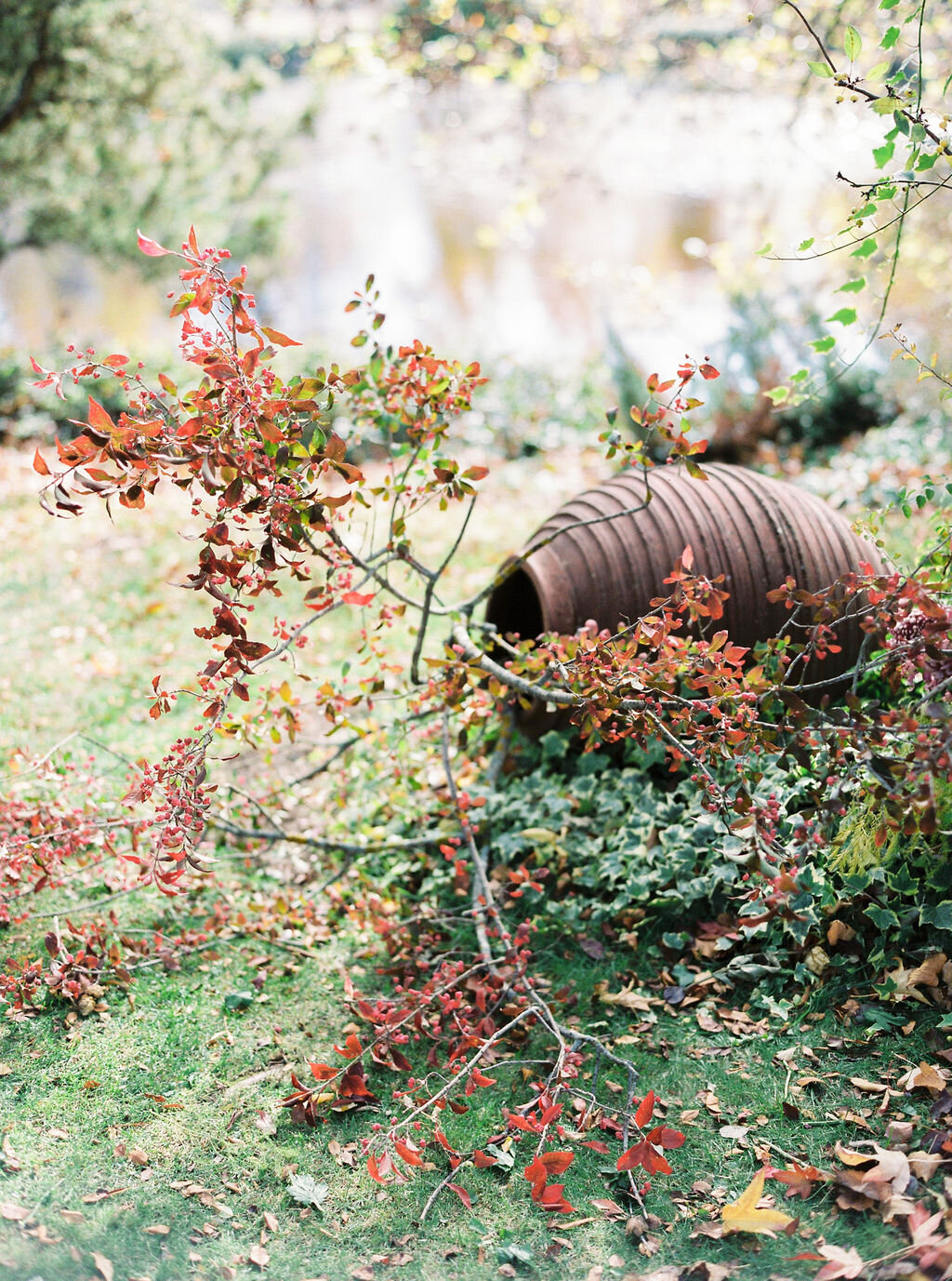 Masha_Golub_Photography_(25)