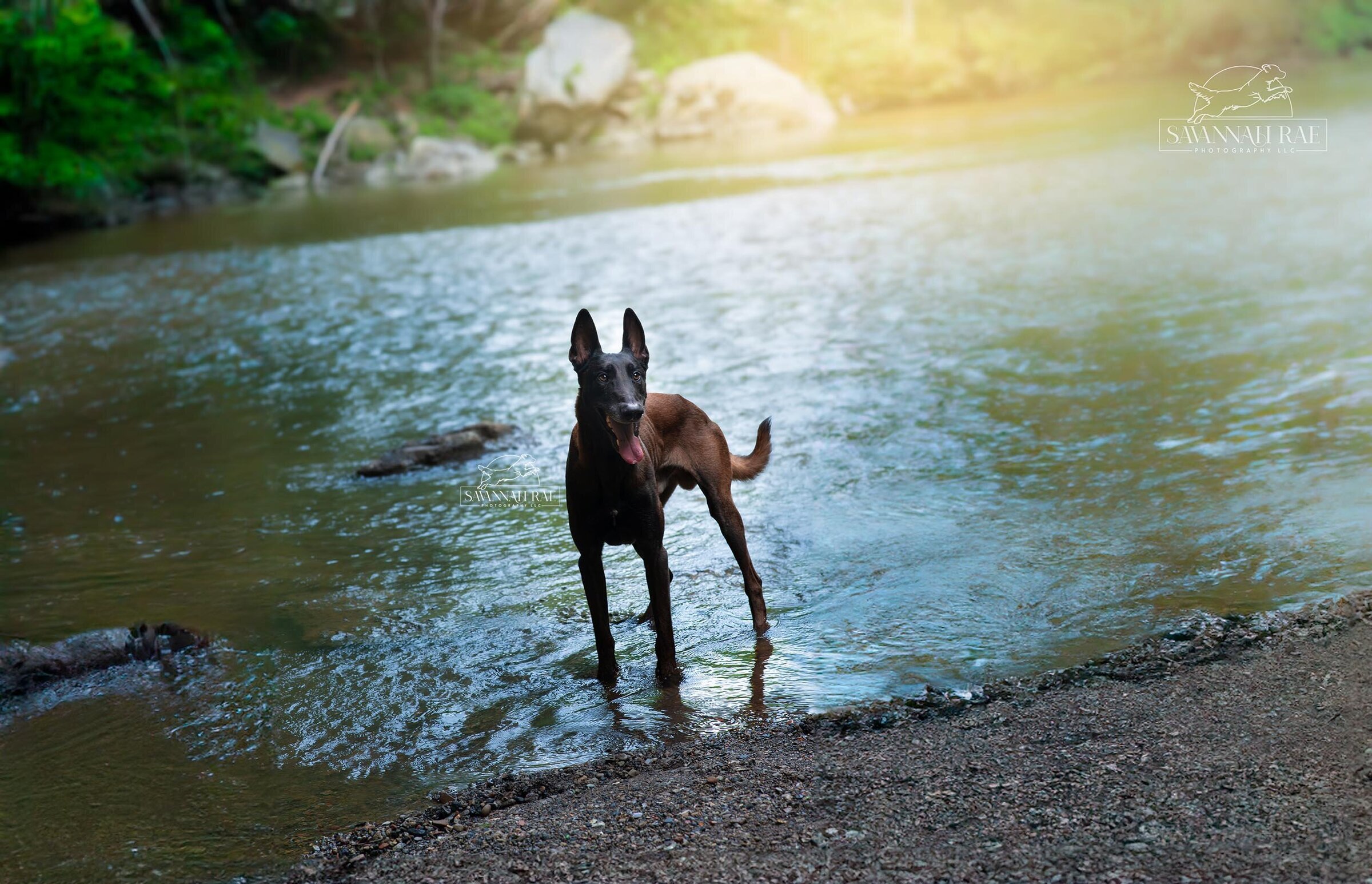 Cheerio Reflections at Dusk-6 Low Res